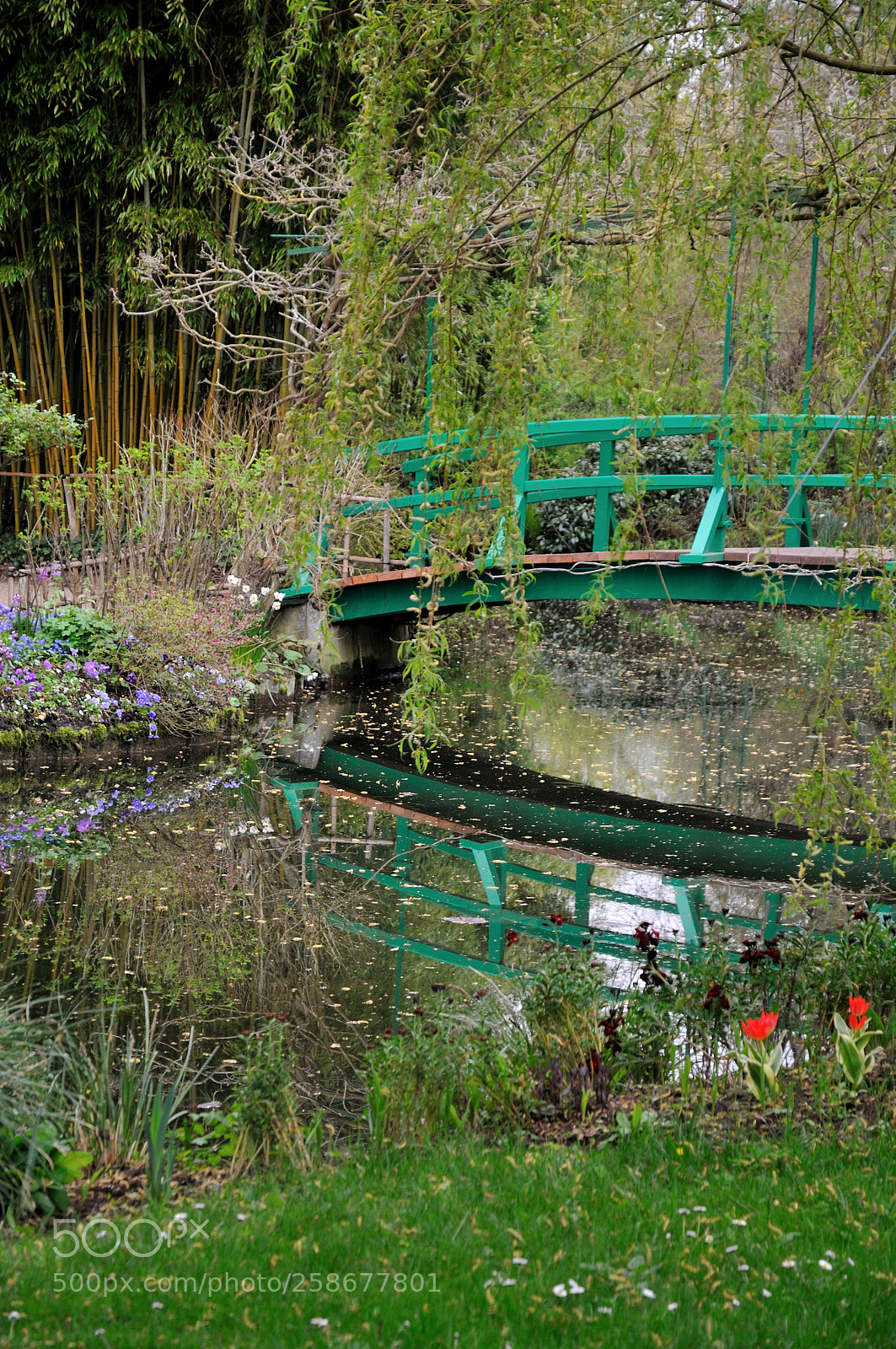Nikon D300 sample photo. Giverny dreaming of a photography