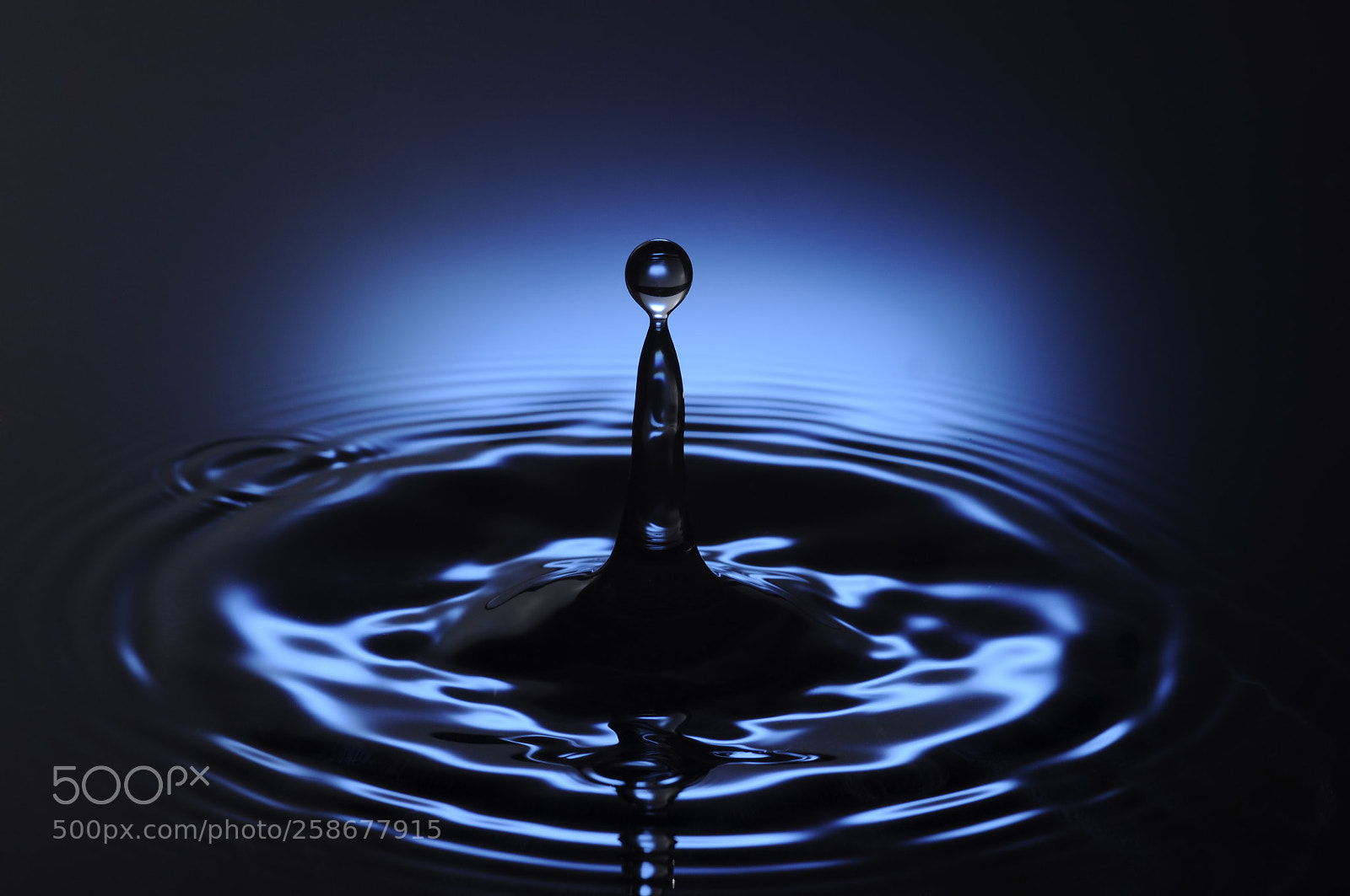 Nikon D90 sample photo. Blue darkness photography