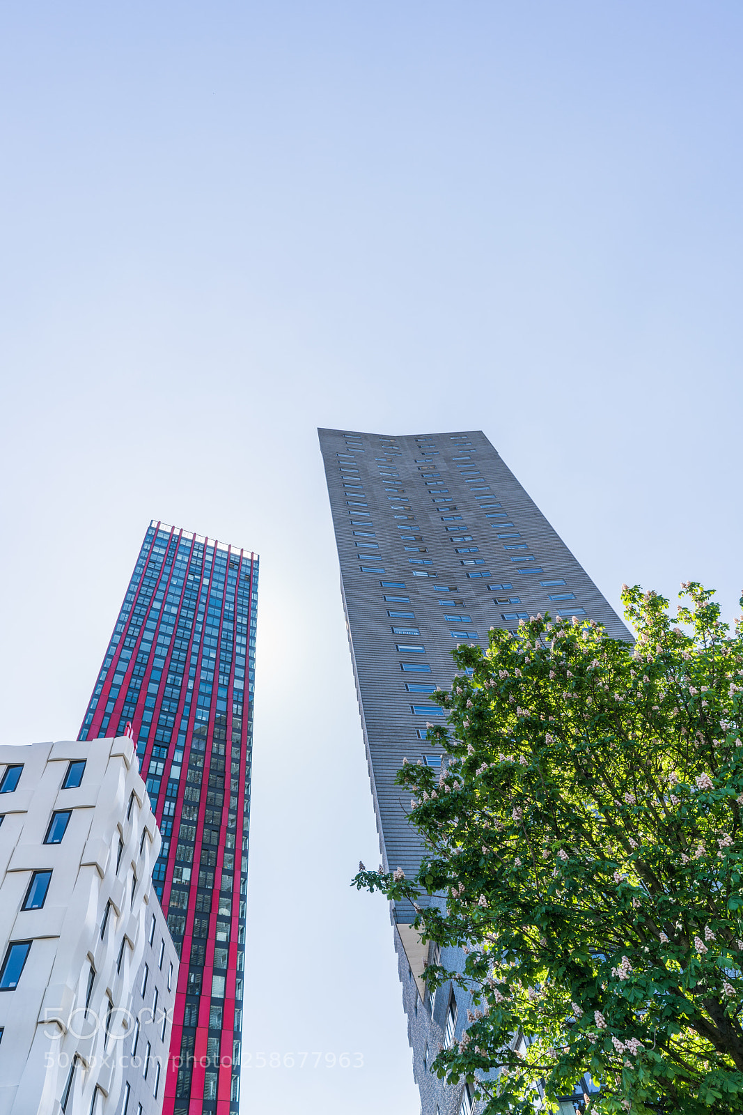 Sony a7R II sample photo. The red apple and photography
