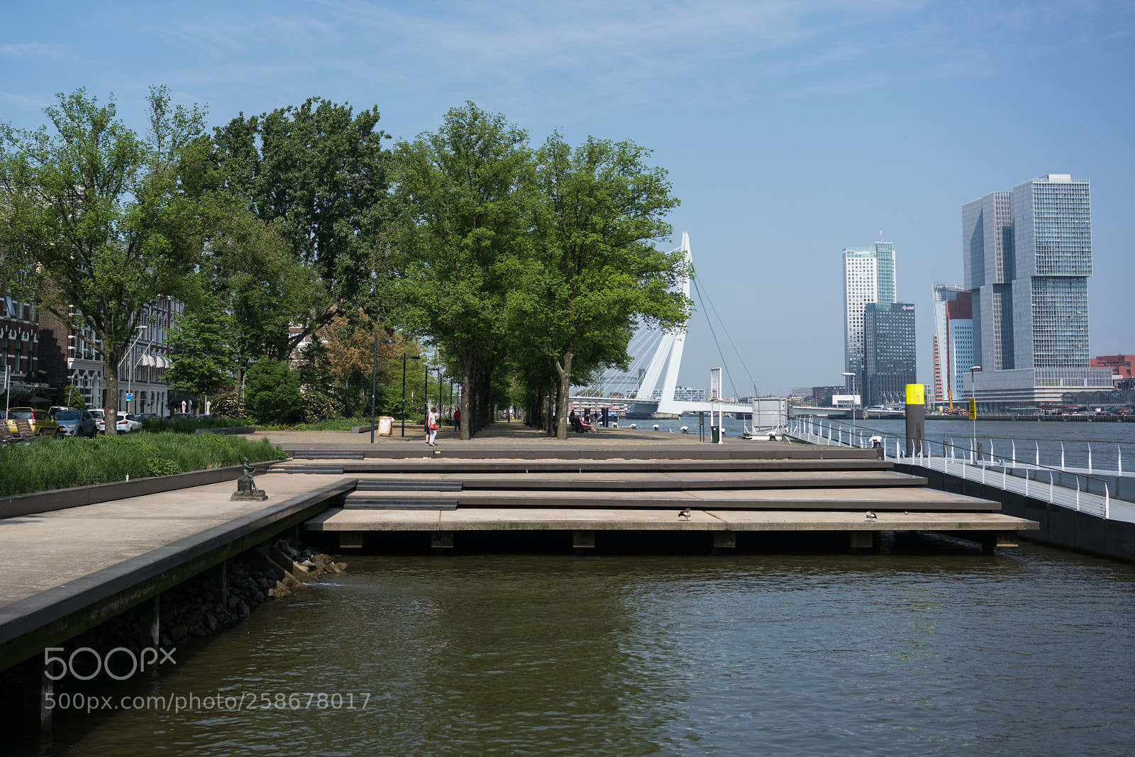 Sony a7R II sample photo. Rotterdam's erasmusbrug photography