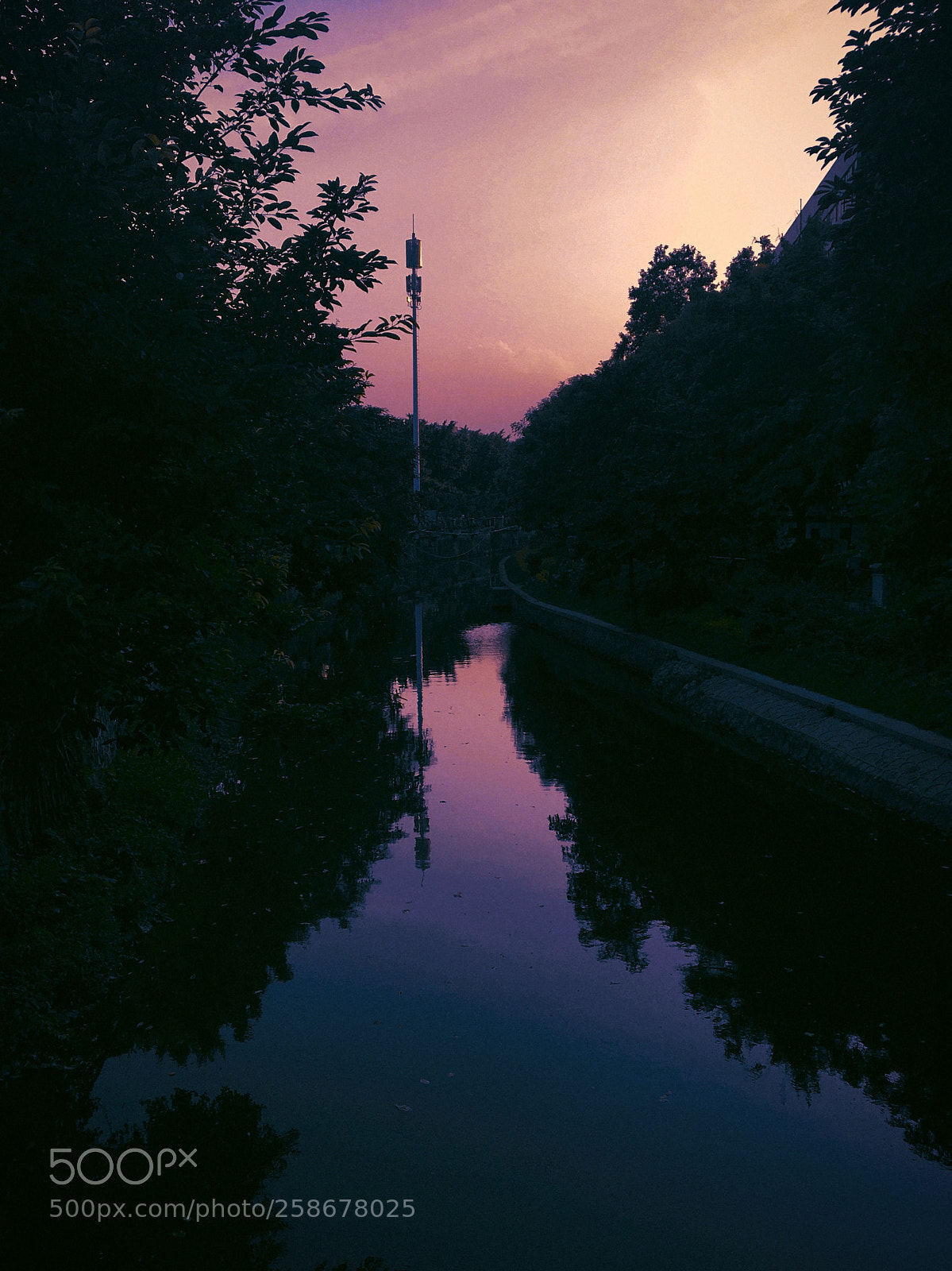 Apple iPhone 6s sample photo. Untitled photography