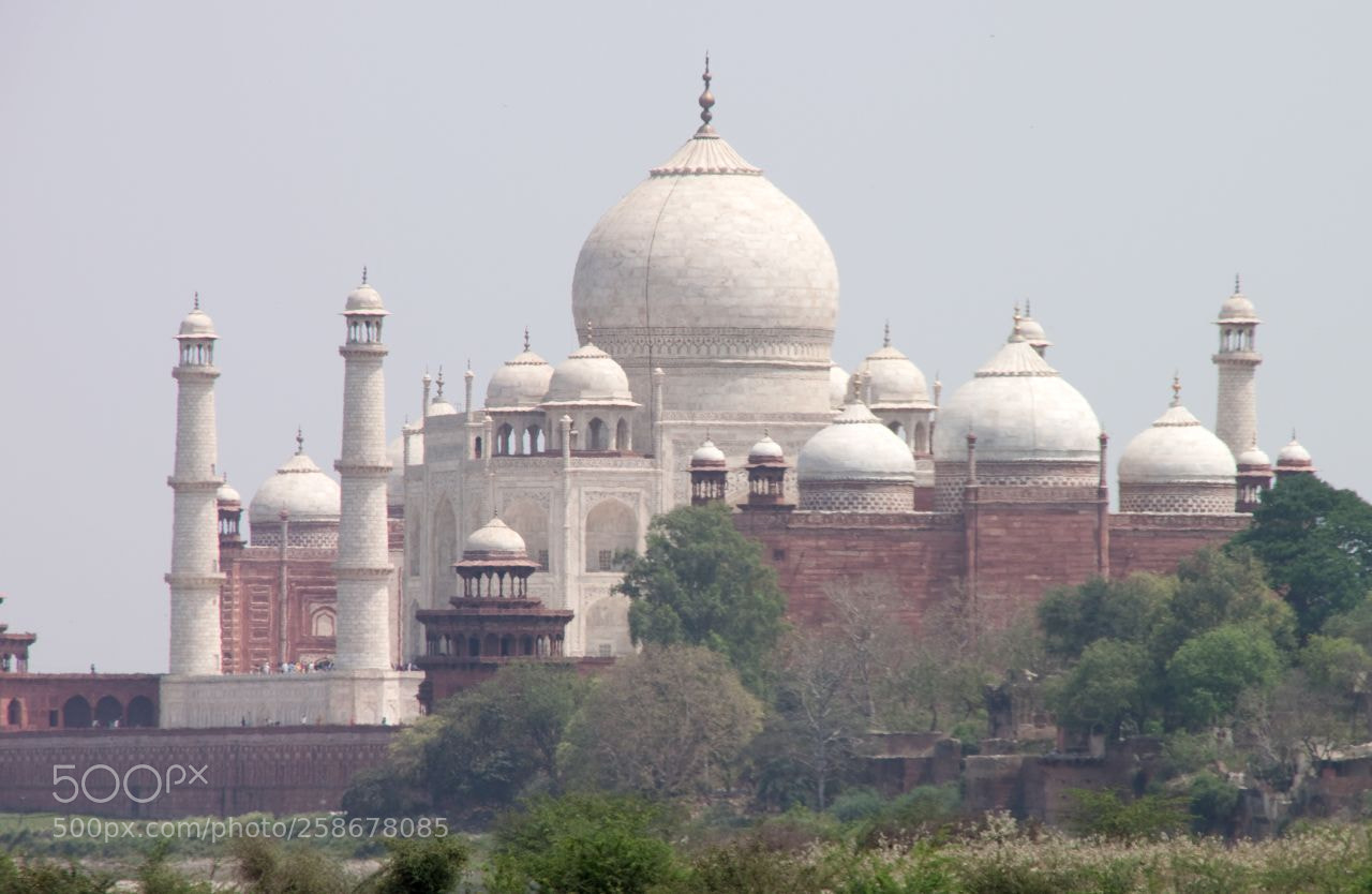 Canon EOS 500D (EOS Rebel T1i / EOS Kiss X3) sample photo. The taj mahal from photography