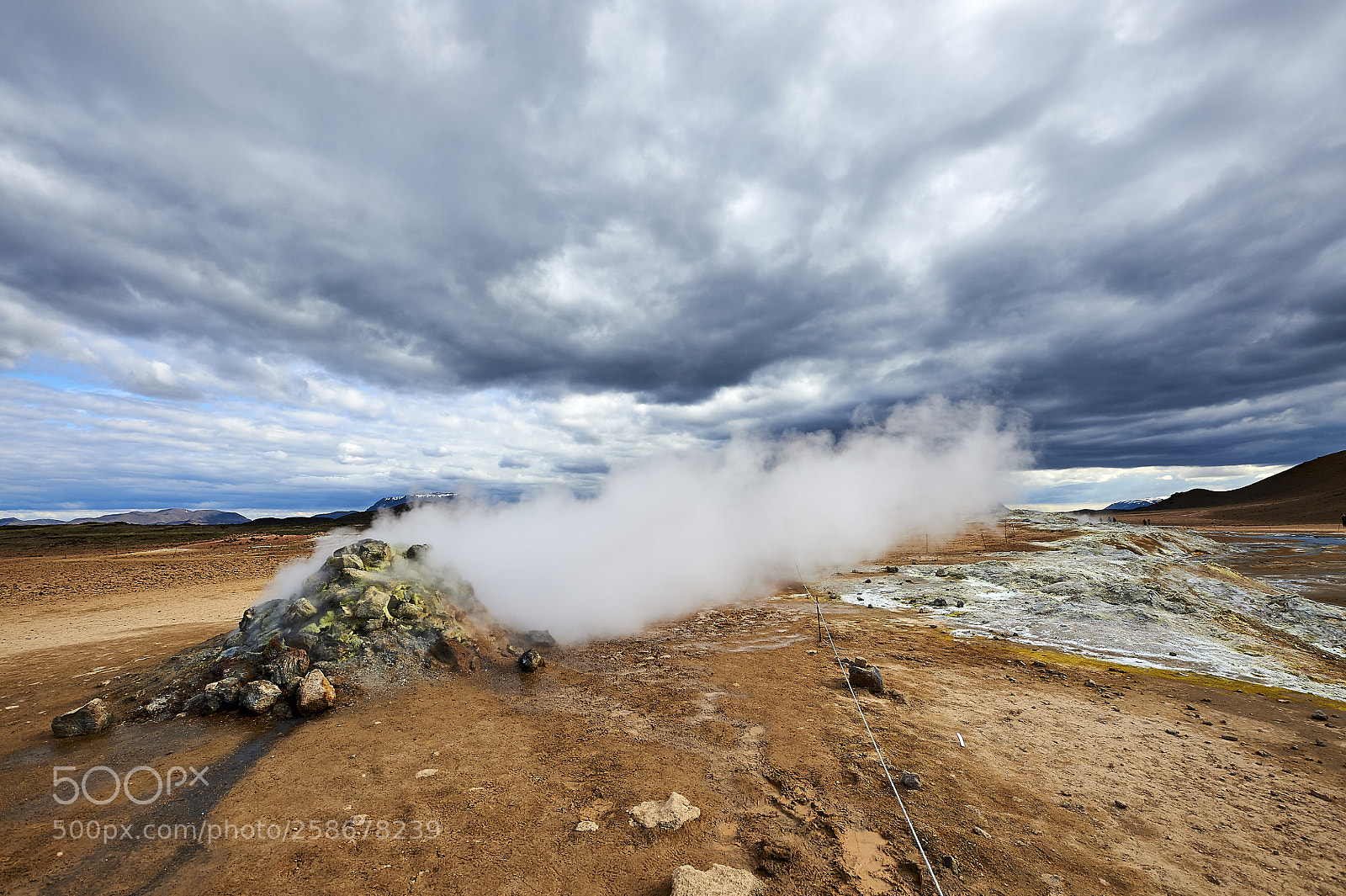 Nikon D700 sample photo. Natural valve photography