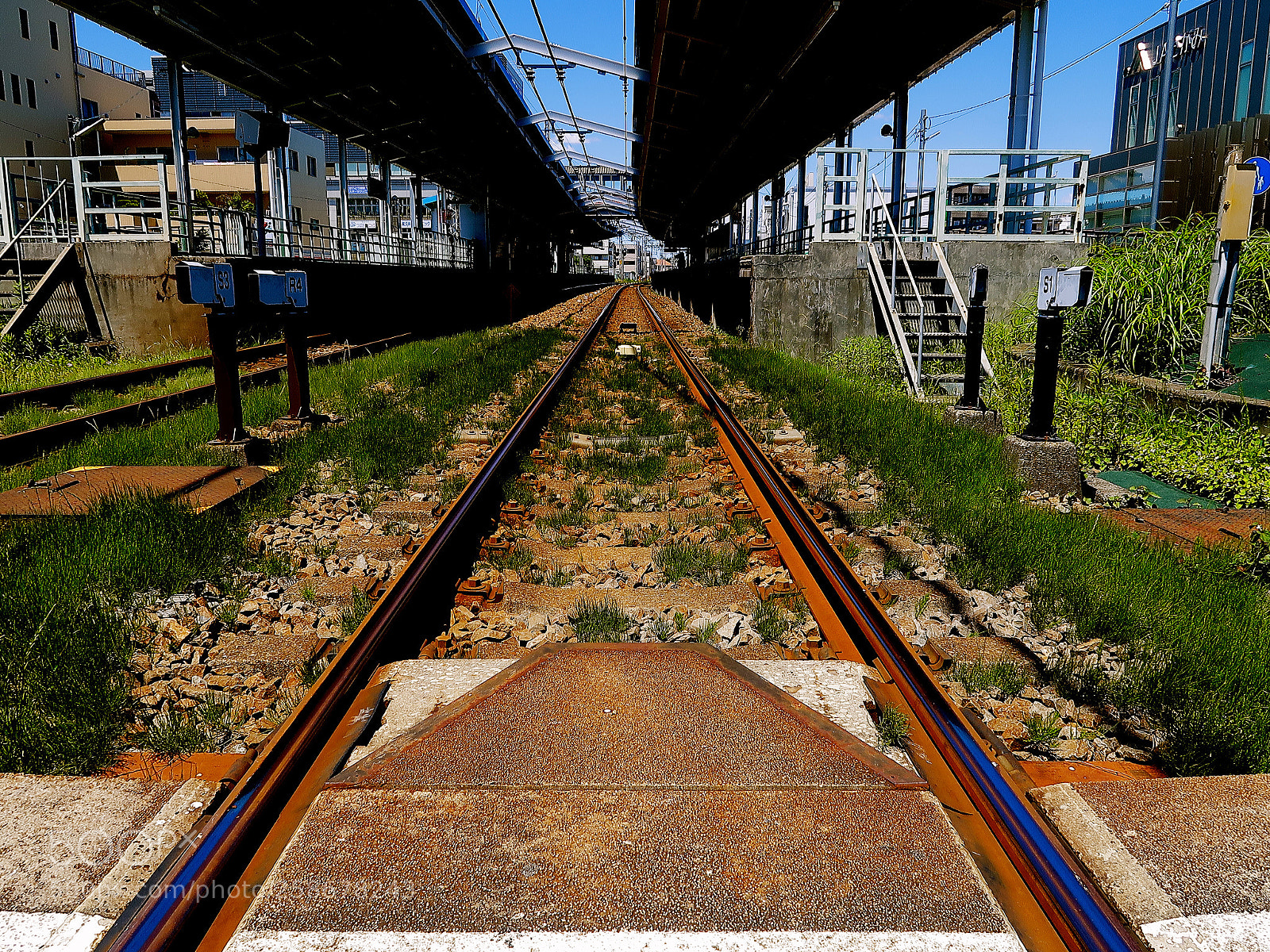 Canon PowerShot G7 X Mark II sample photo. Img photography