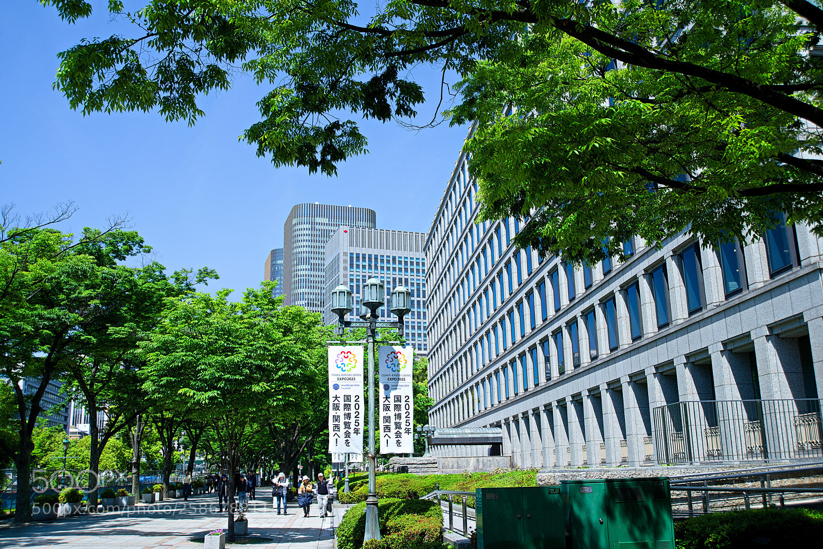 Nikon D800E sample photo. Osaka city hall photography
