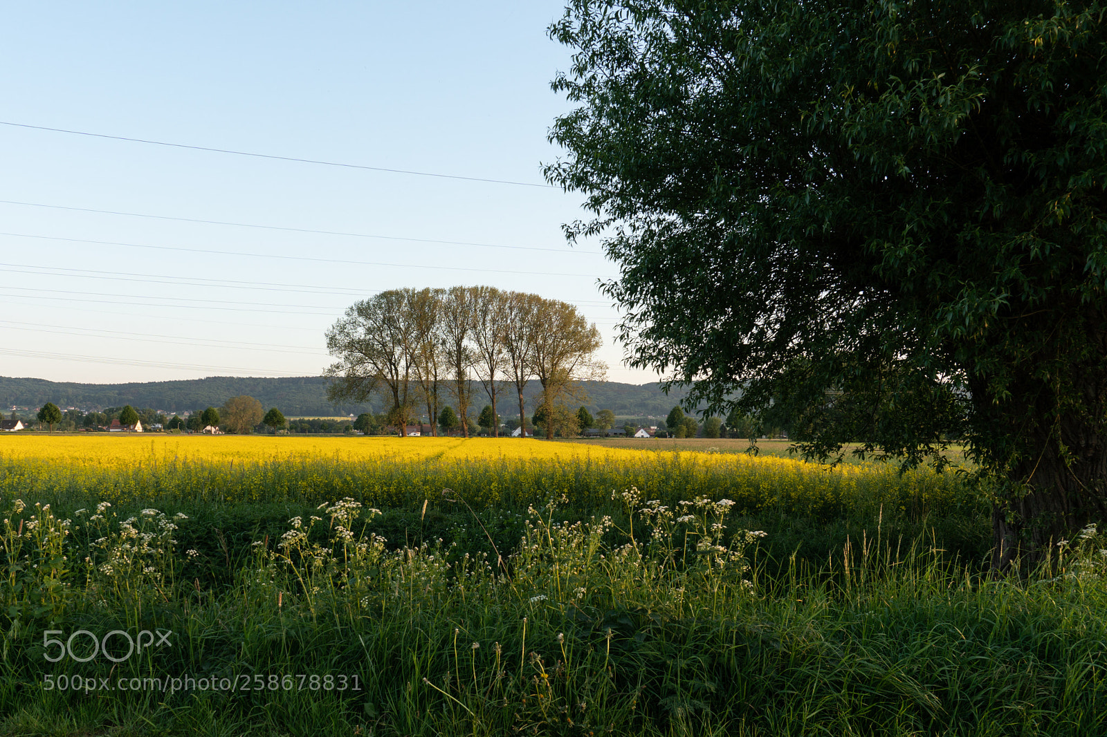 Sony a6300 sample photo. Bastauwiesen photography