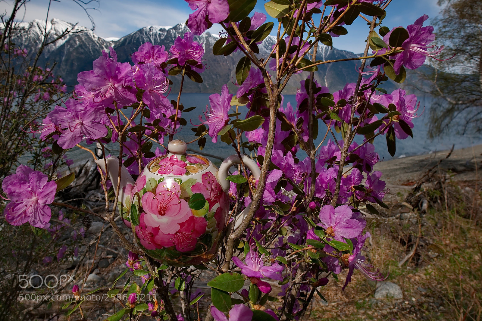 Fujifilm X-T1 sample photo. Russia. the south of photography