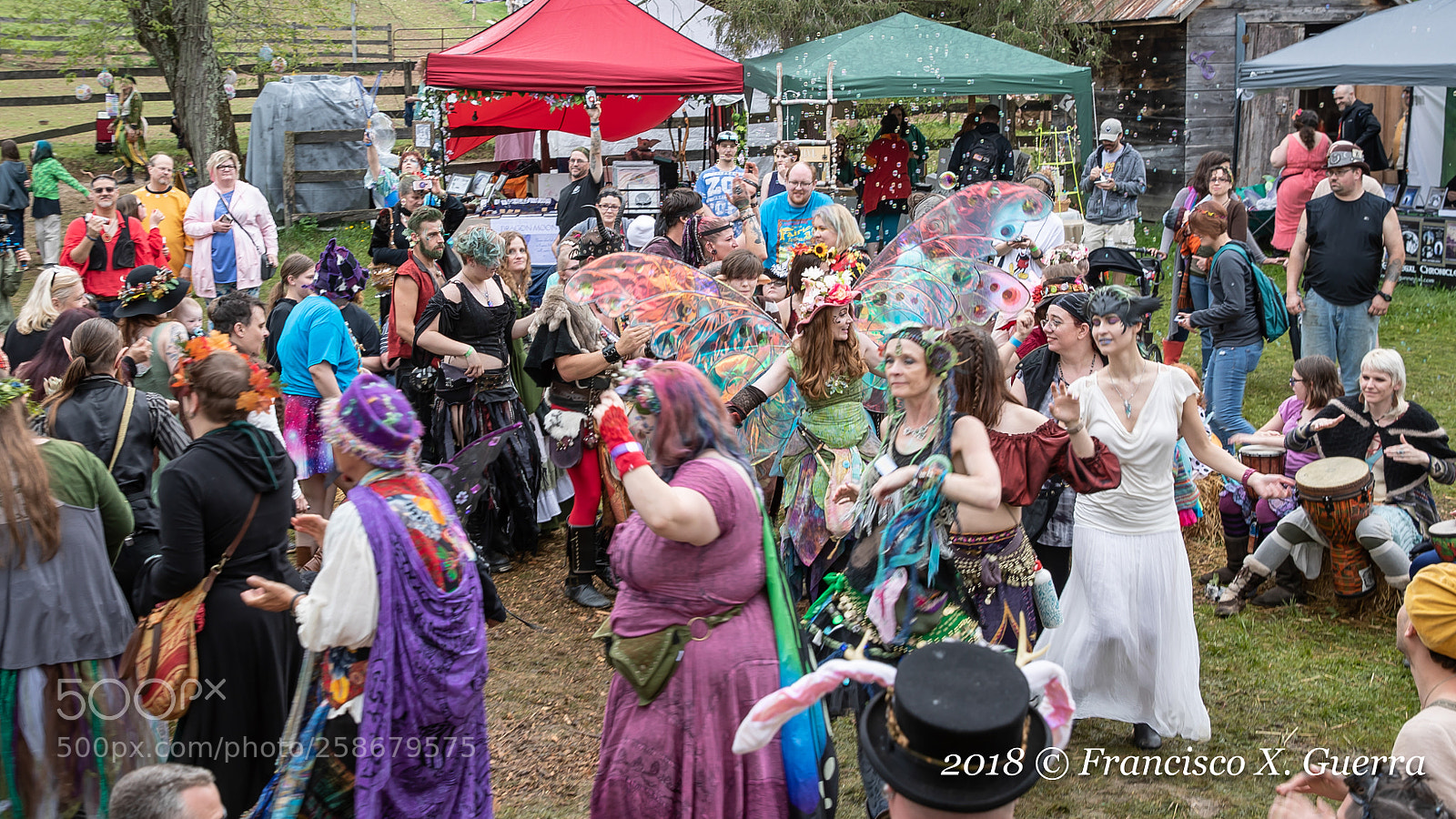 Canon EOS-1D X Mark II sample photo. 2018 - spoutwood may photography