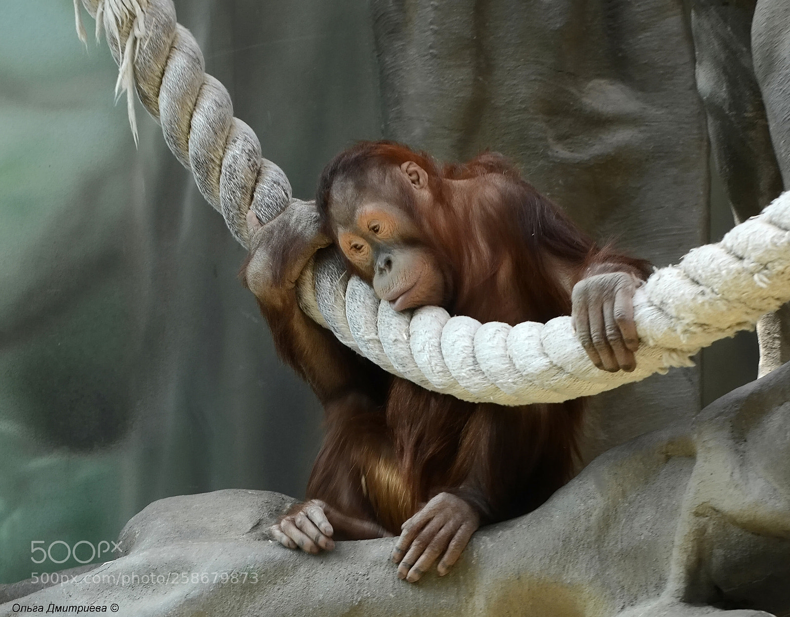 Nikon D7000 sample photo. *** photography