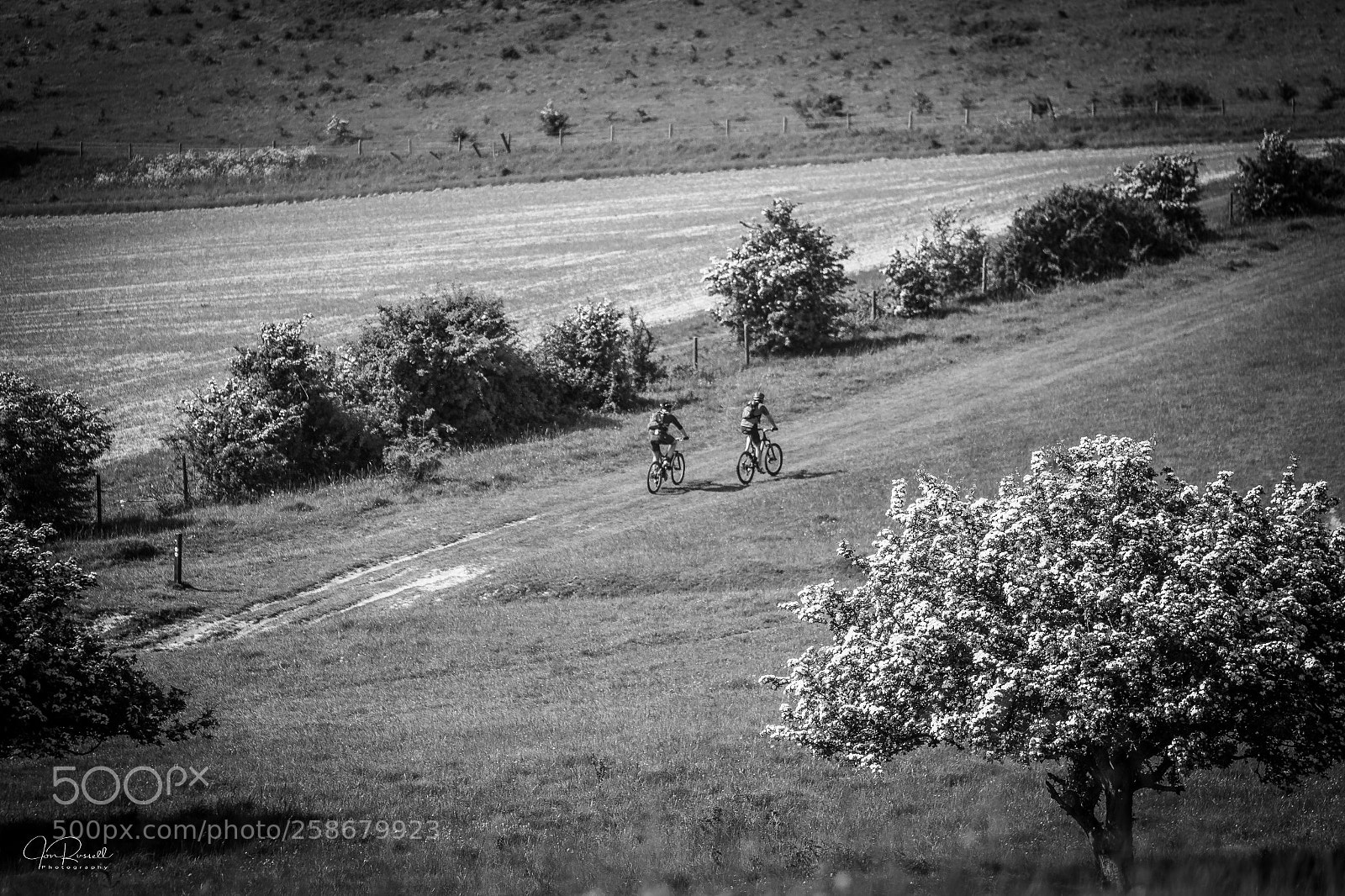 Canon EOS 7D Mark II sample photo. Mountain biking on the photography