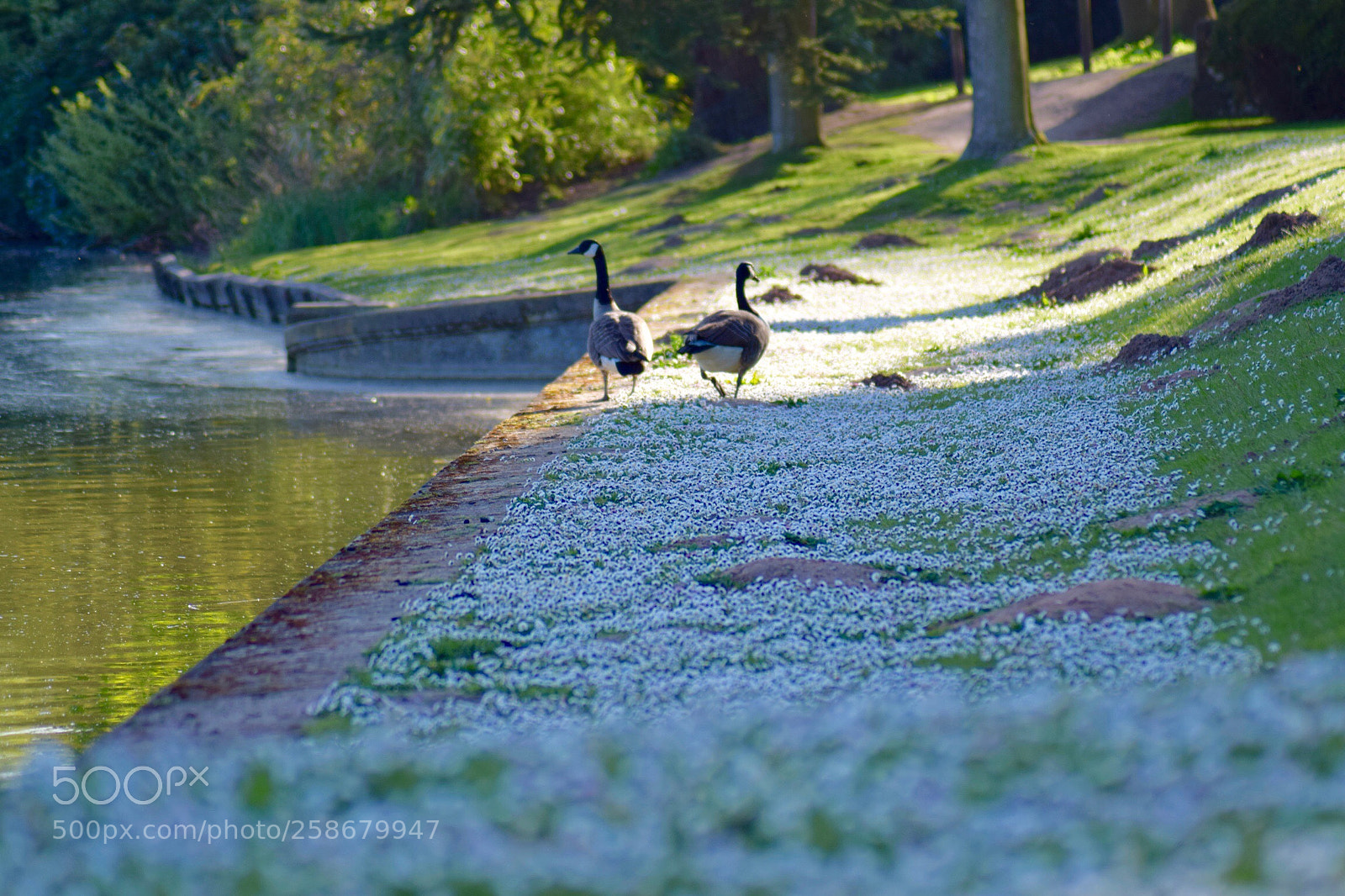 Nikon D3300 sample photo. Untitled photography