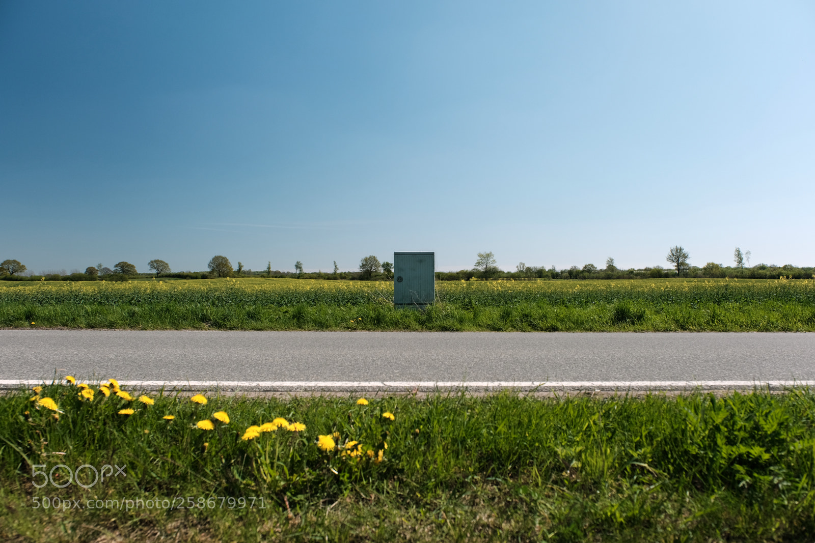Fujifilm X-T2 sample photo. I can do whatever photography