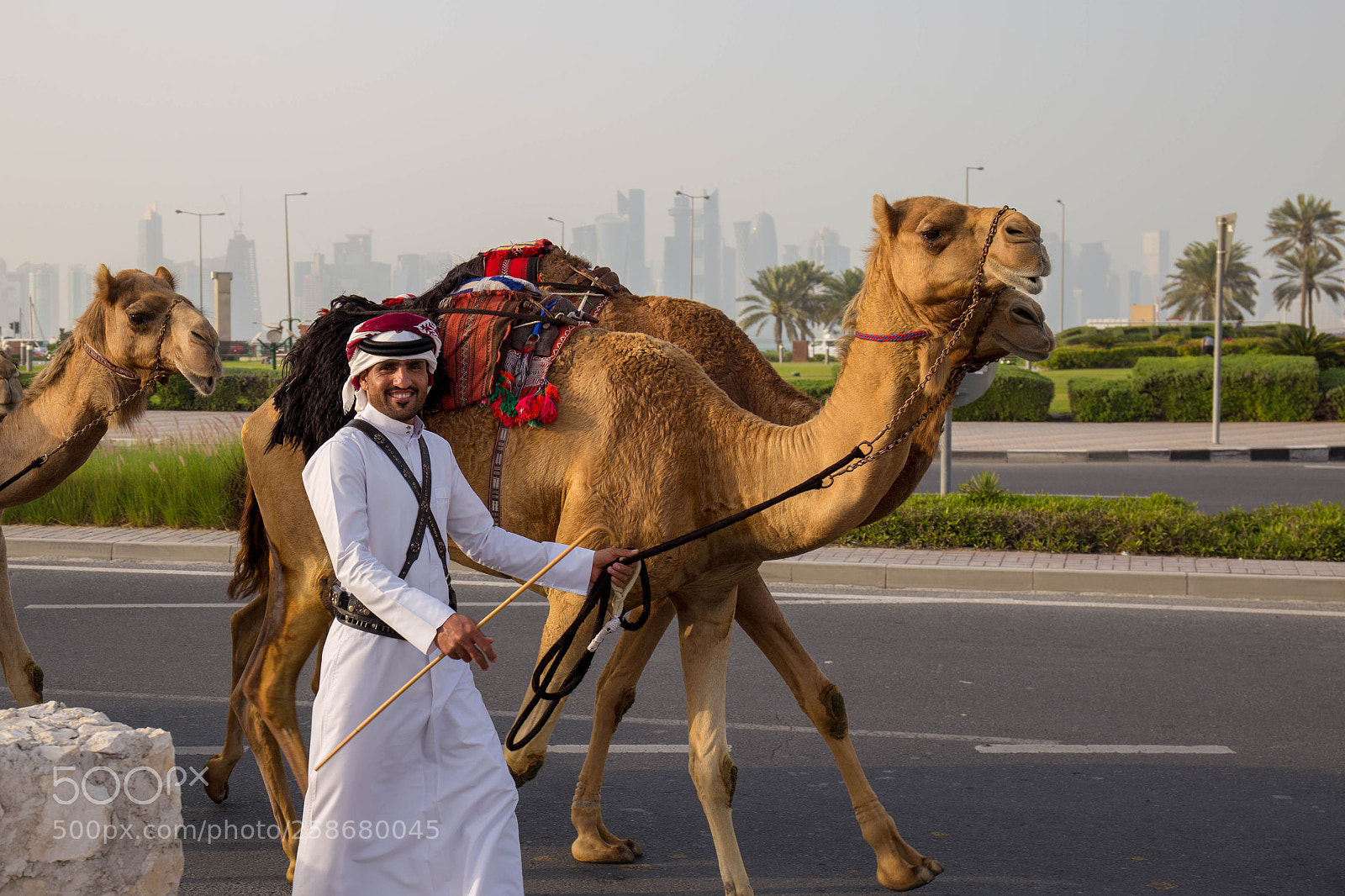 Canon EOS 6D sample photo. Camel photography