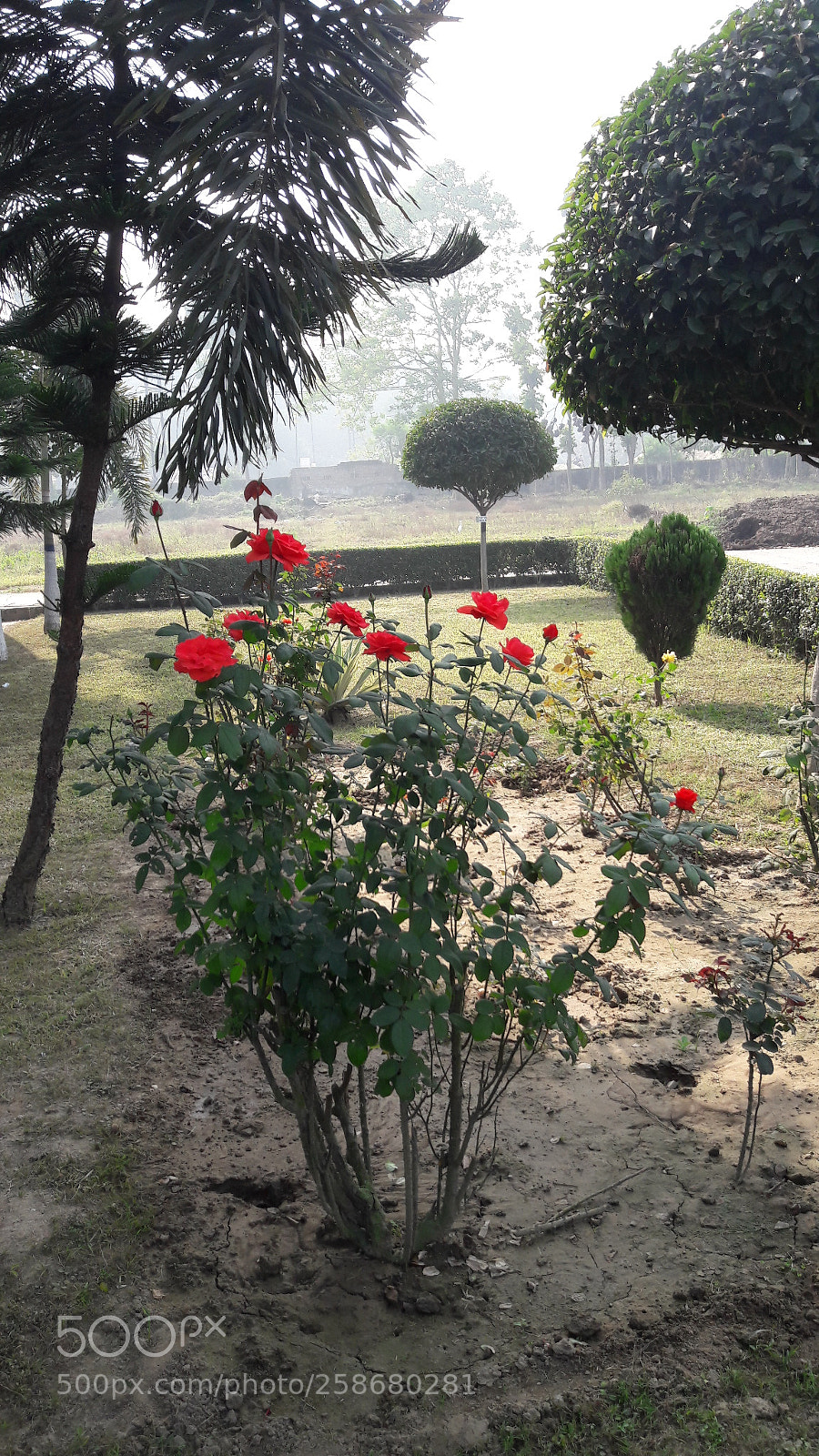 Samsung Galaxy J7 sample photo. Untitled photography