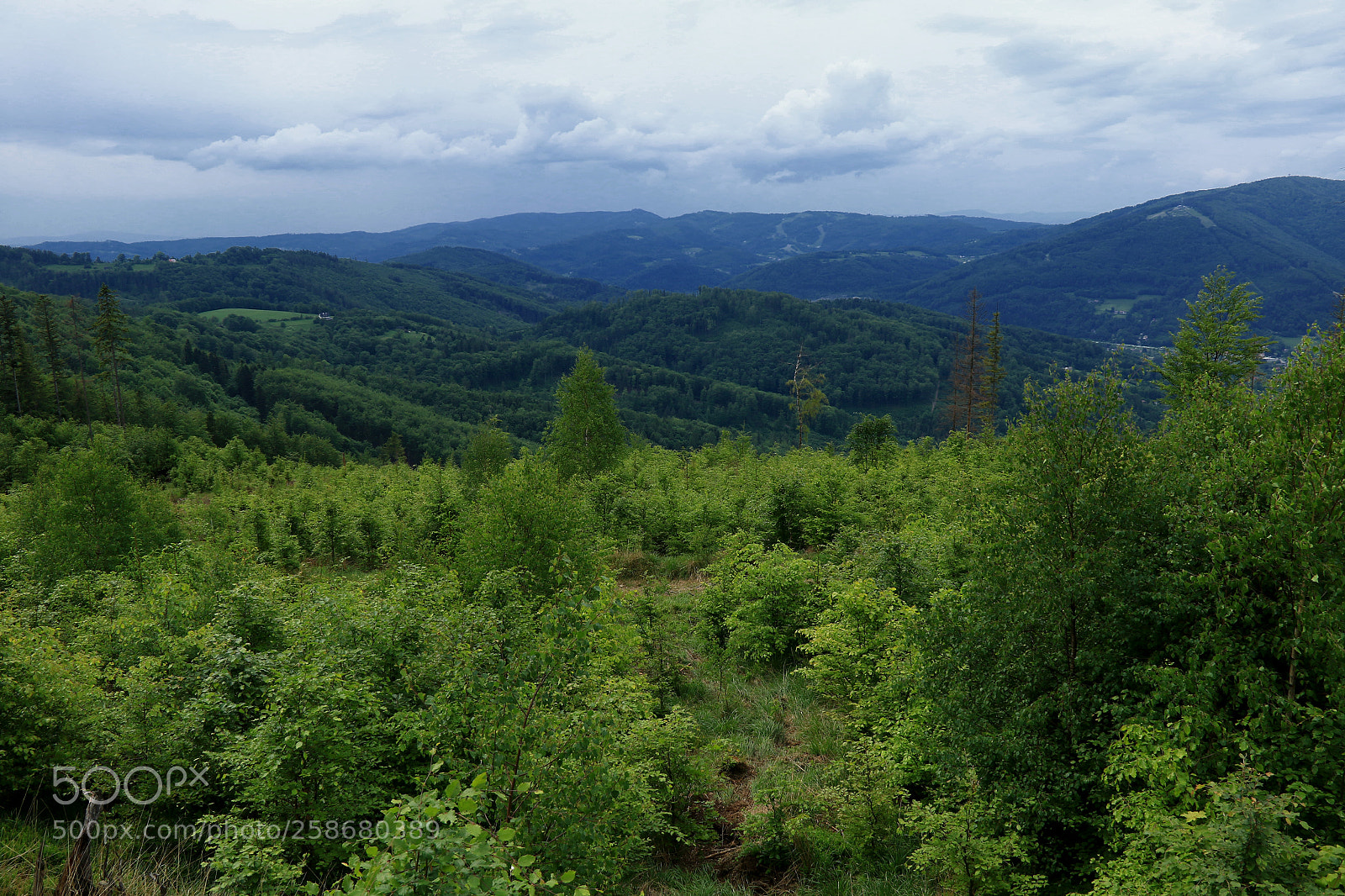 Canon EOS 7D Mark II sample photo. Beskid Śląski photography