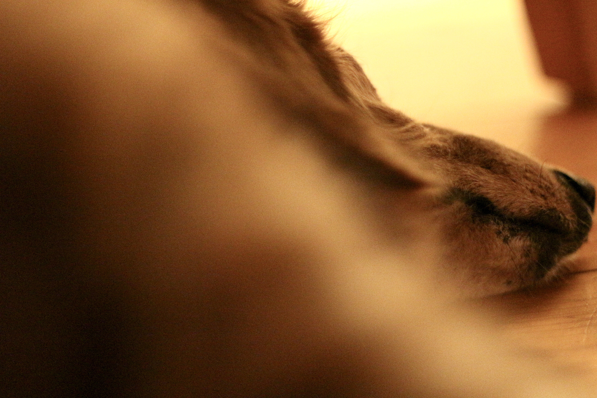 Canon EOS 100D (EOS Rebel SL1 / EOS Kiss X7) sample photo. Worm’s eye view photography