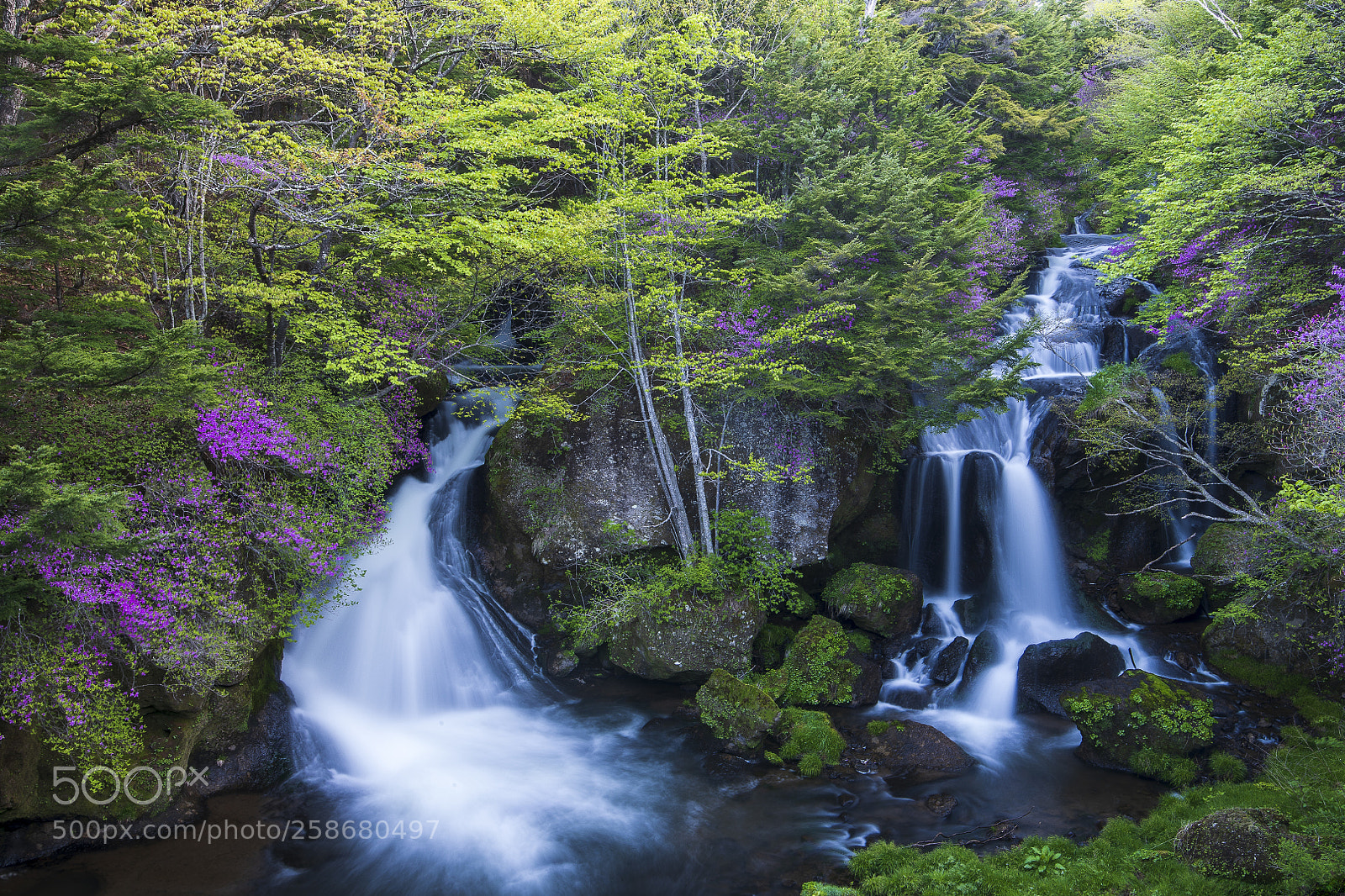 Nikon D850 sample photo. Ryuzu falls photography