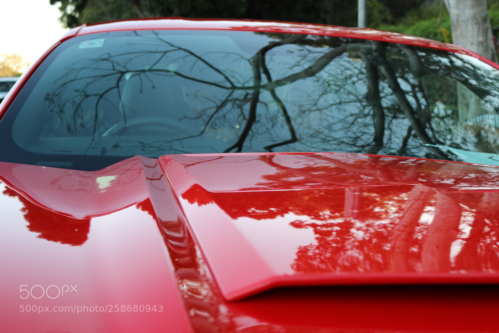 Canon EOS 750D (EOS Rebel T6i / EOS Kiss X8i) sample photo. Mustang photography