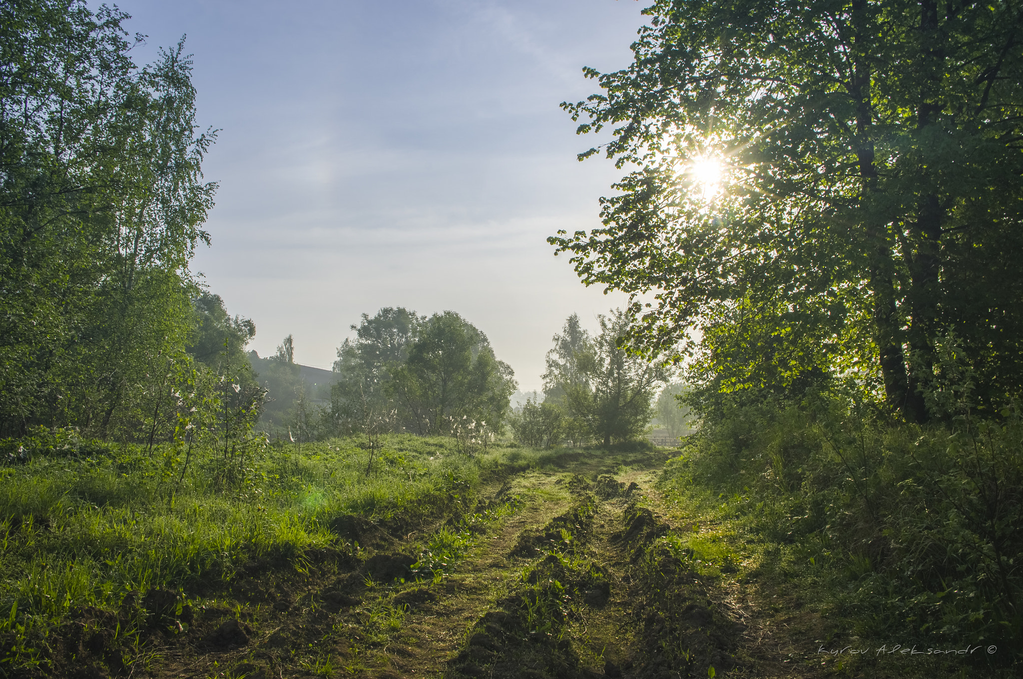 Pentax K20D sample photo. The morning after the fog photography