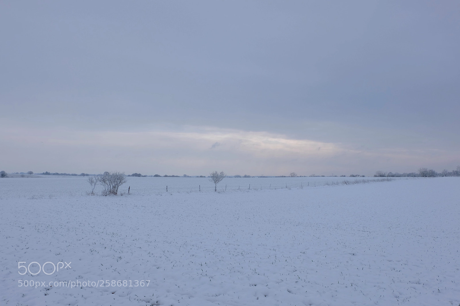Fujifilm X-M1 sample photo. Snow  photography
