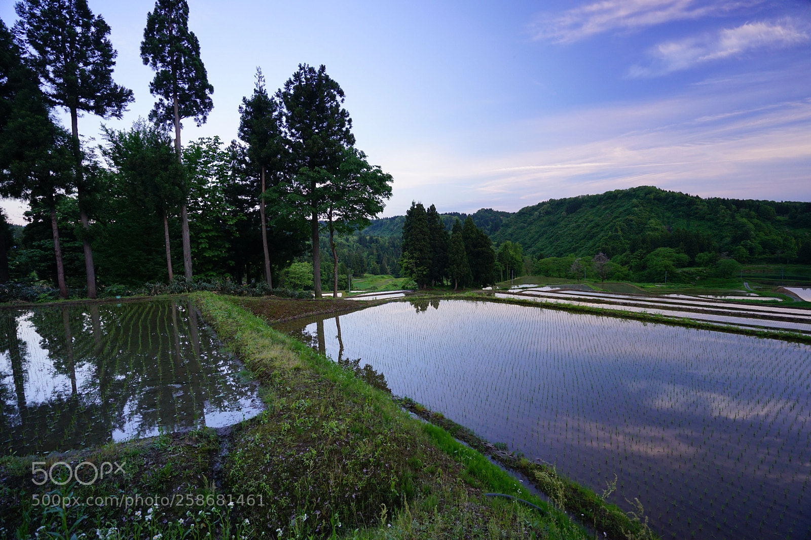 Sony a7 II sample photo. 岩沢の棚田  photography