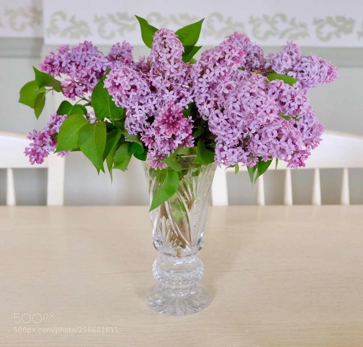 Fujifilm X-T20 sample photo. Untitled photography