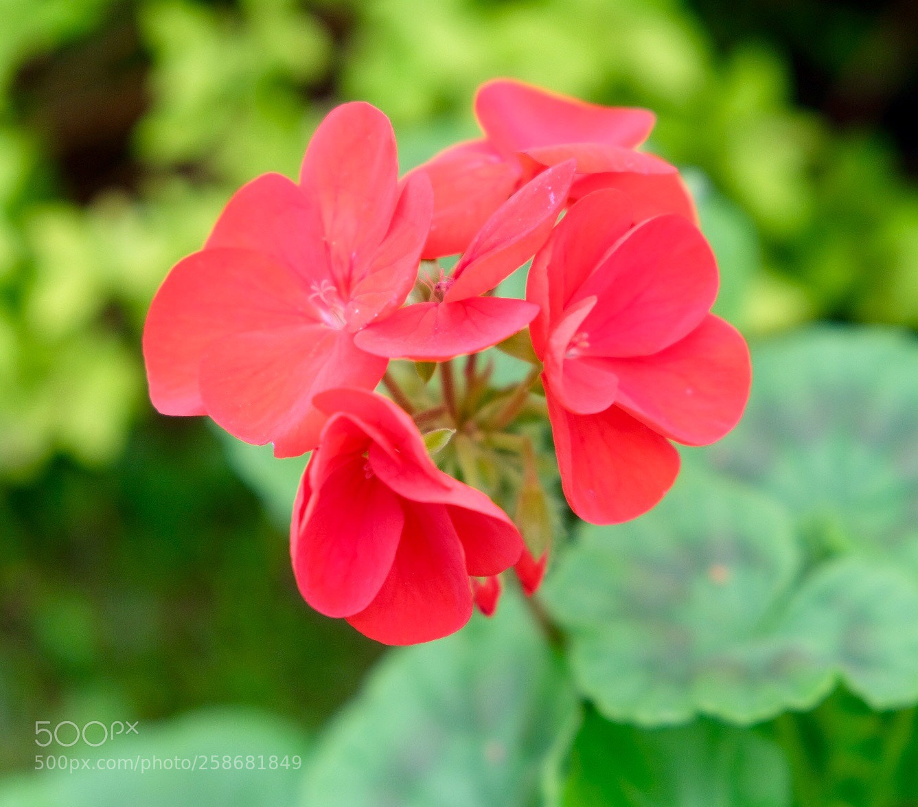 Fujifilm X-T20 sample photo. Untitled photography