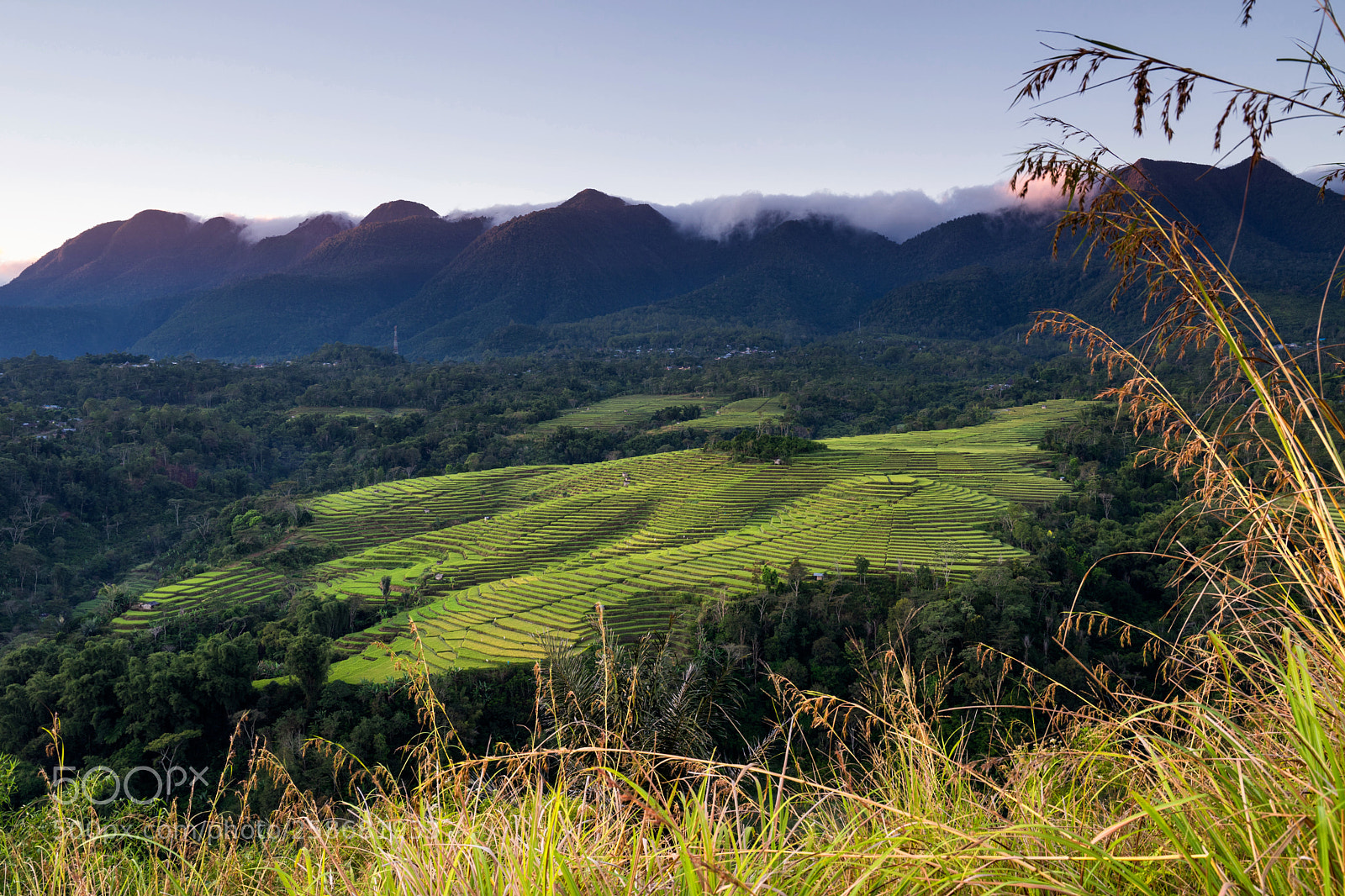 Sony a7 II sample photo. Rice fields in ruteng photography