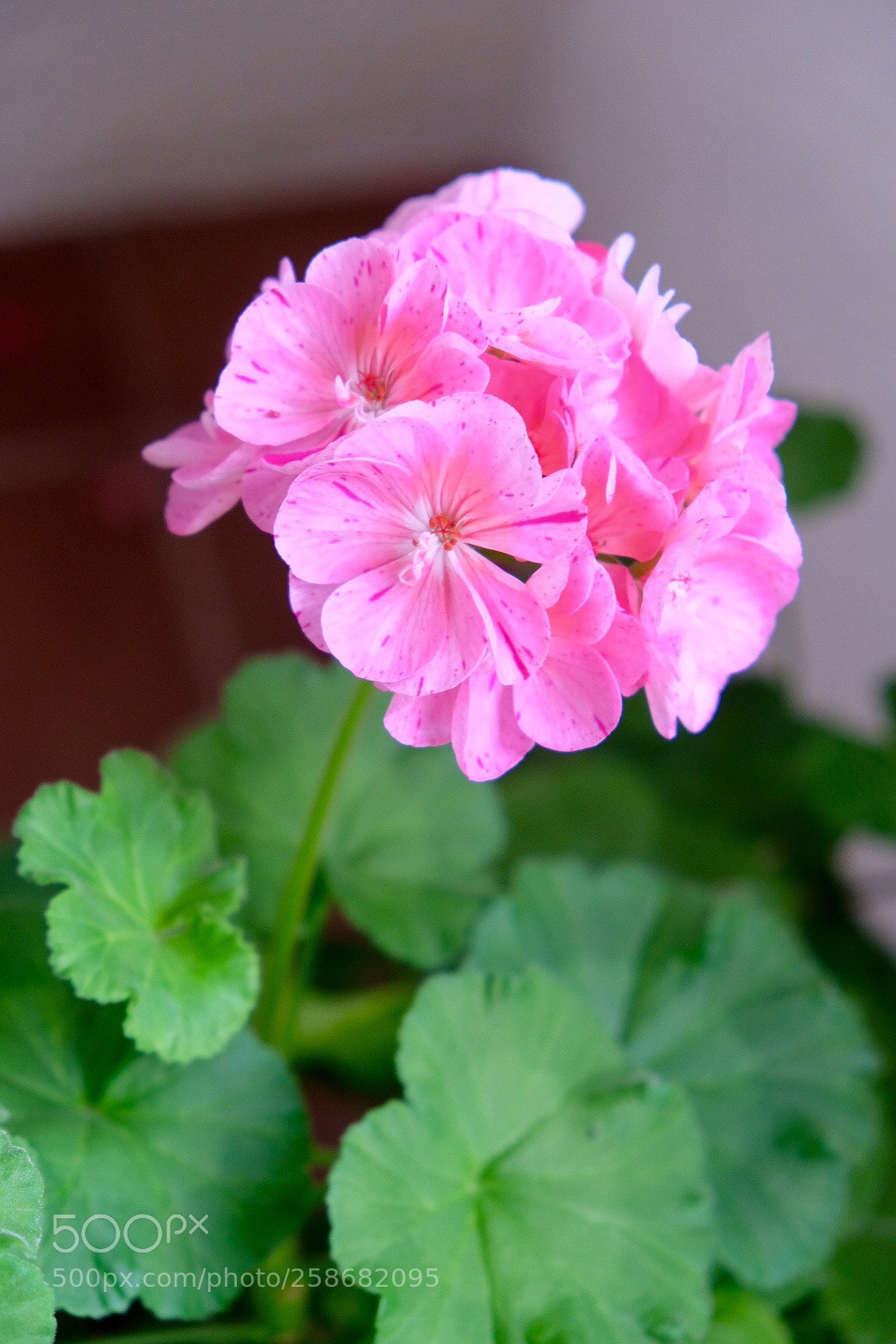 Fujifilm X-T20 sample photo. Untitled photography