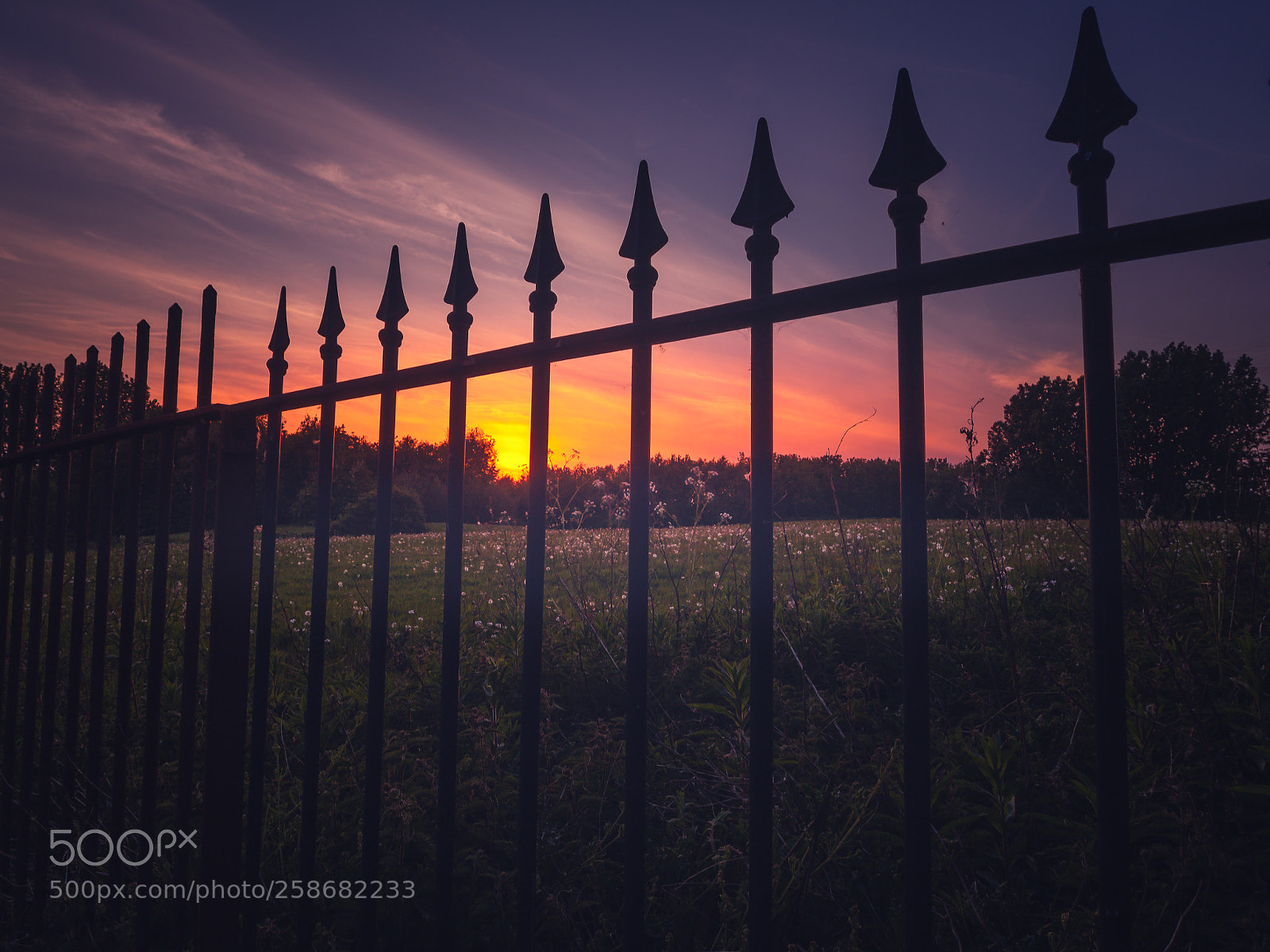 Olympus OM-D E-M5 sample photo. Sunset behind bars photography