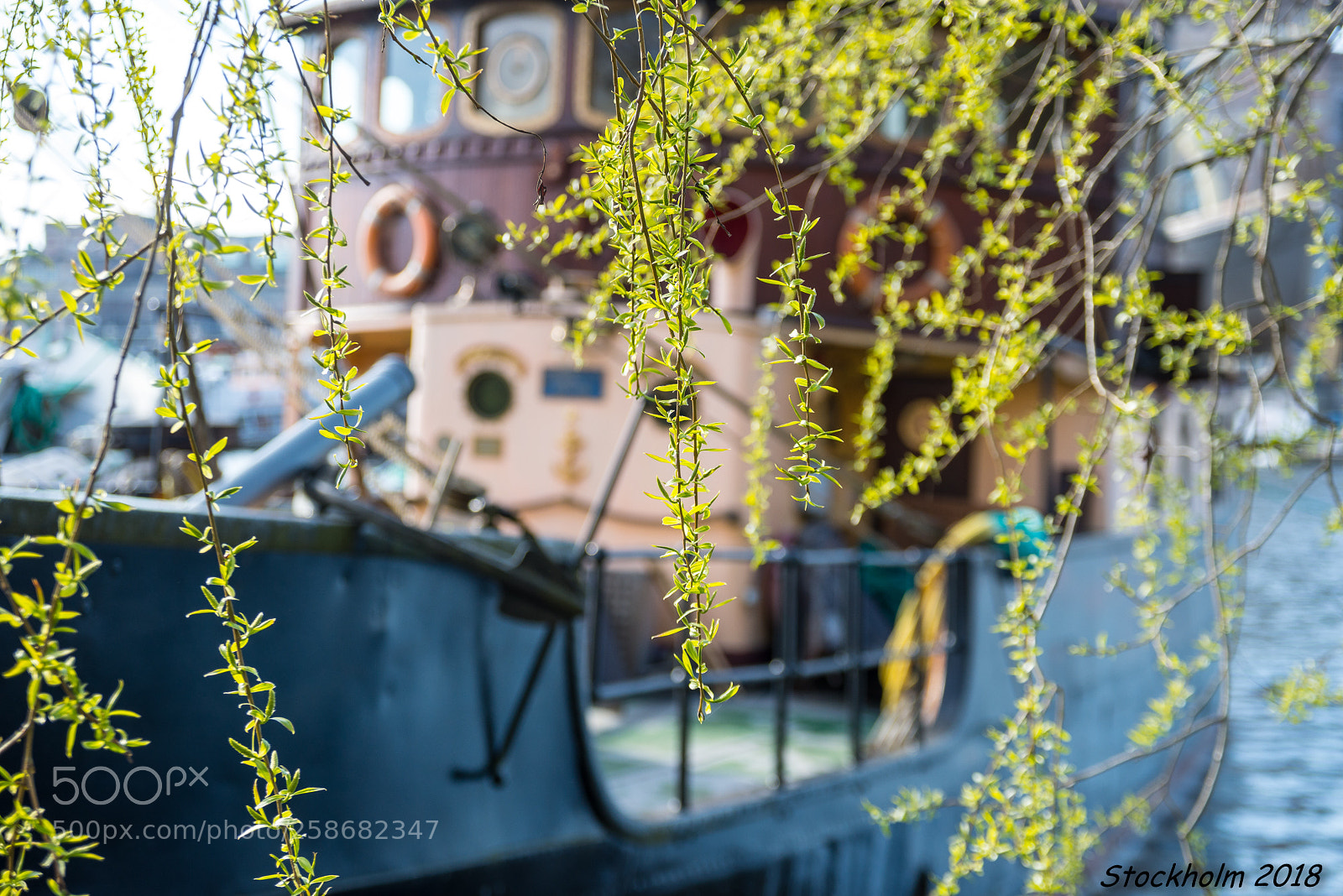 Nikon D600 sample photo. S/s orion photography