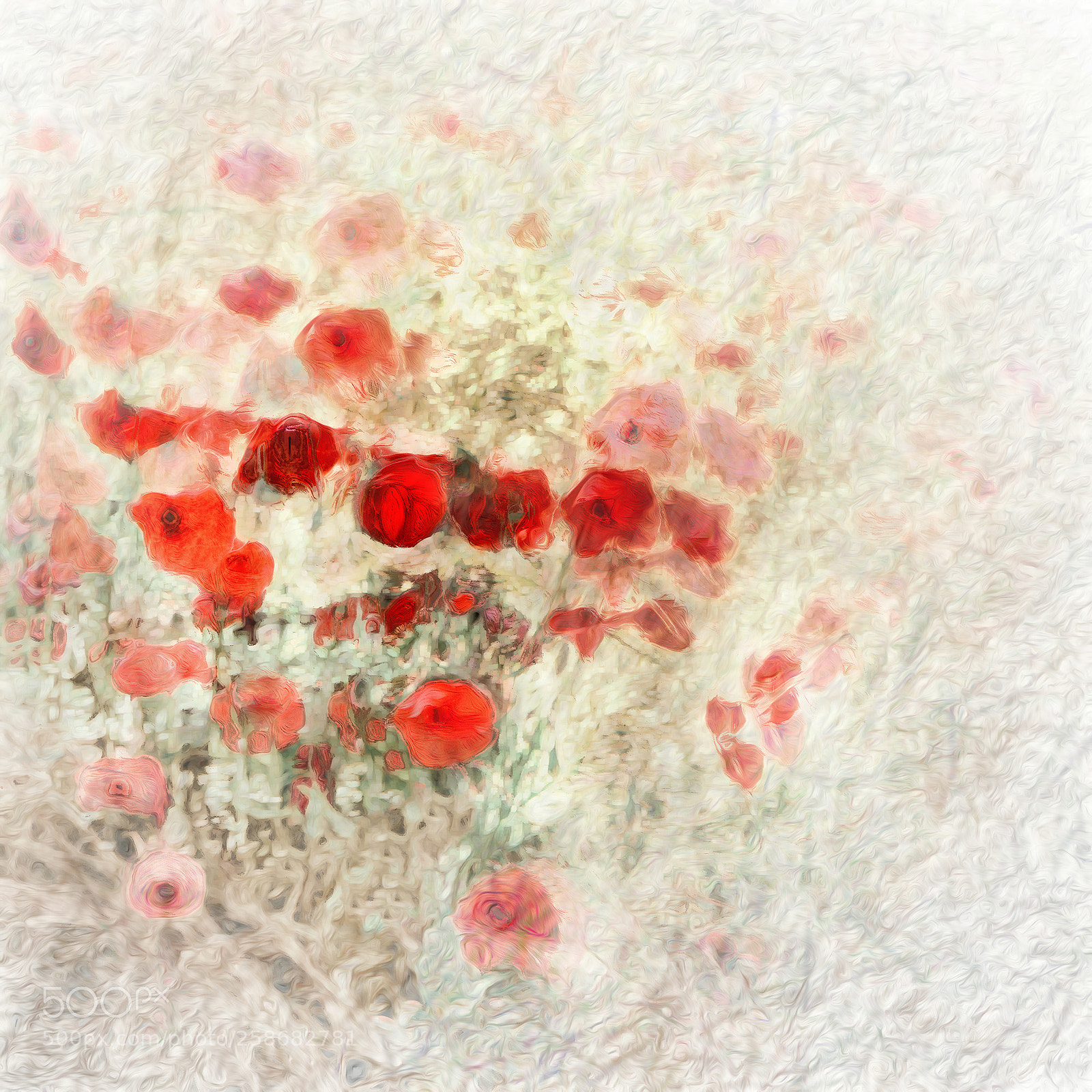 Canon EOS 40D sample photo. Field flowers photography