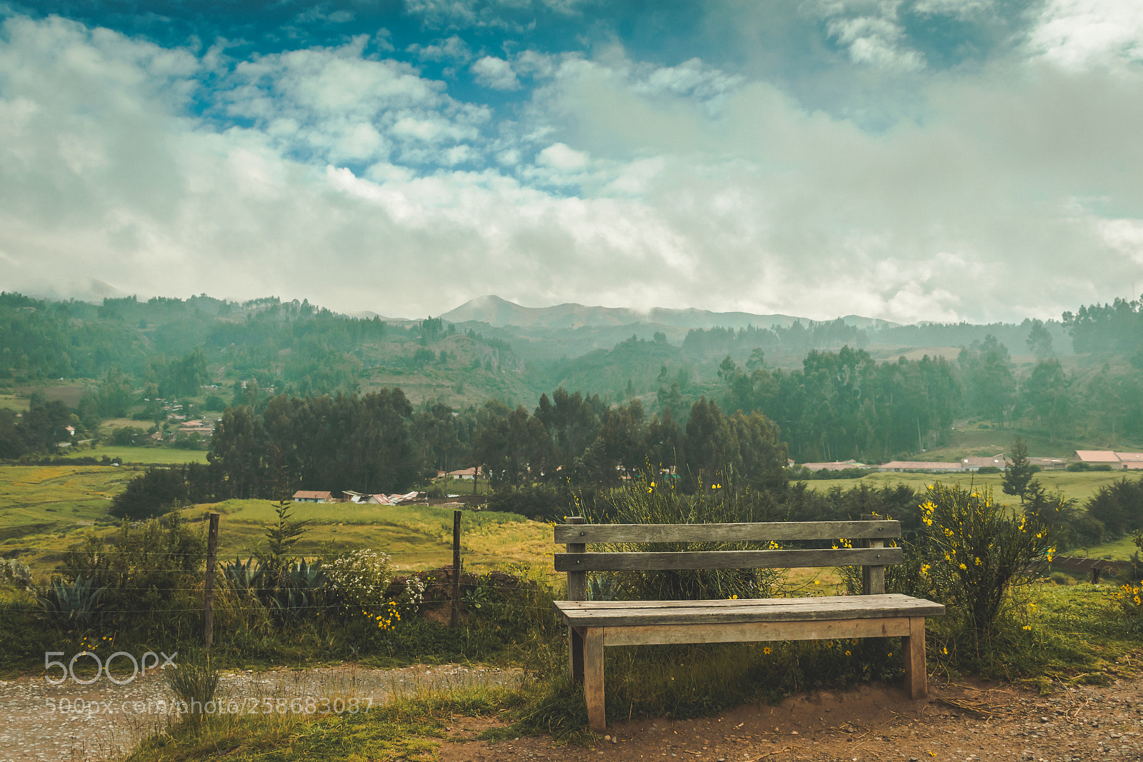 Nikon D5300 sample photo. Peaceful nature photography