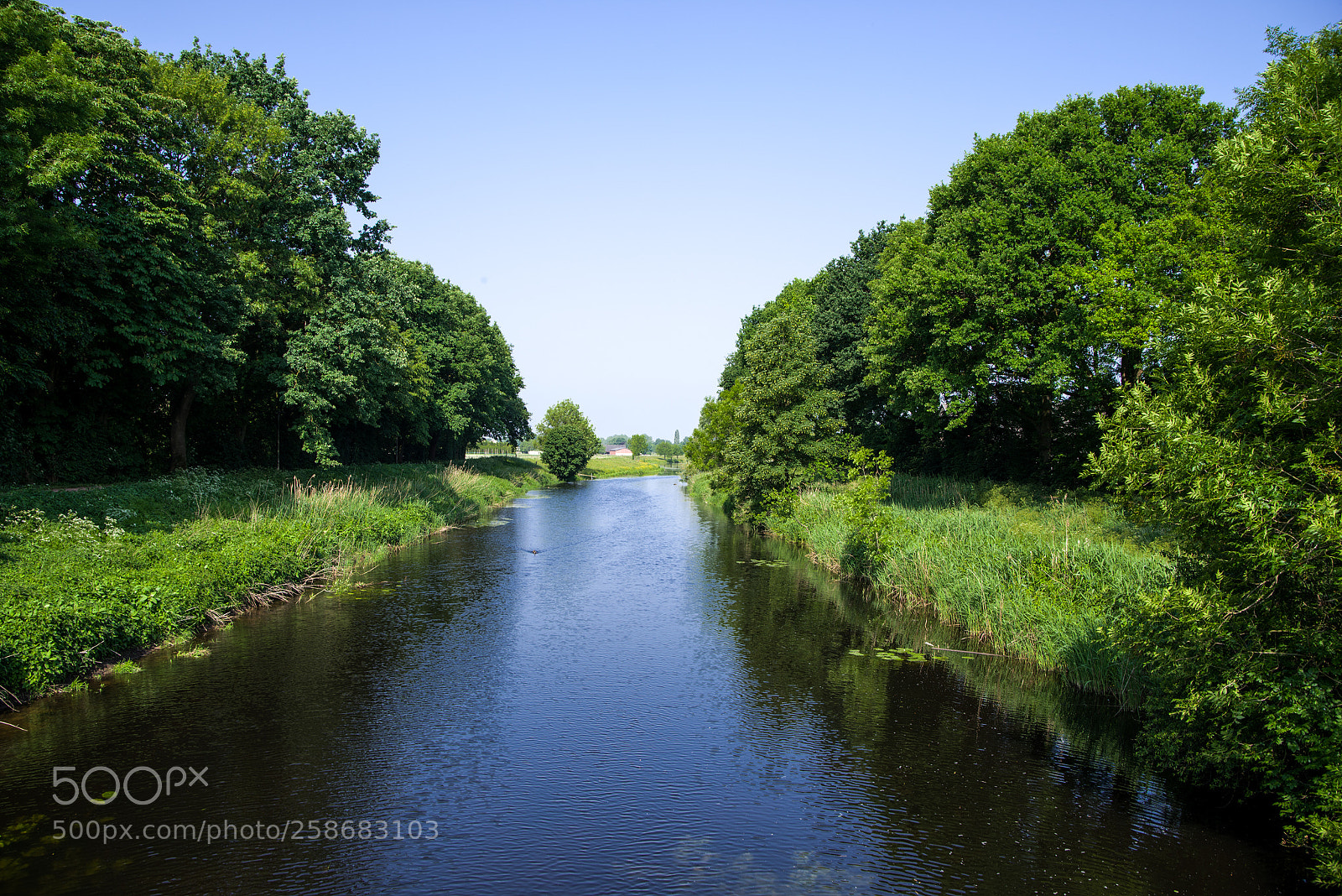 Pentax K-1 sample photo. So green photography