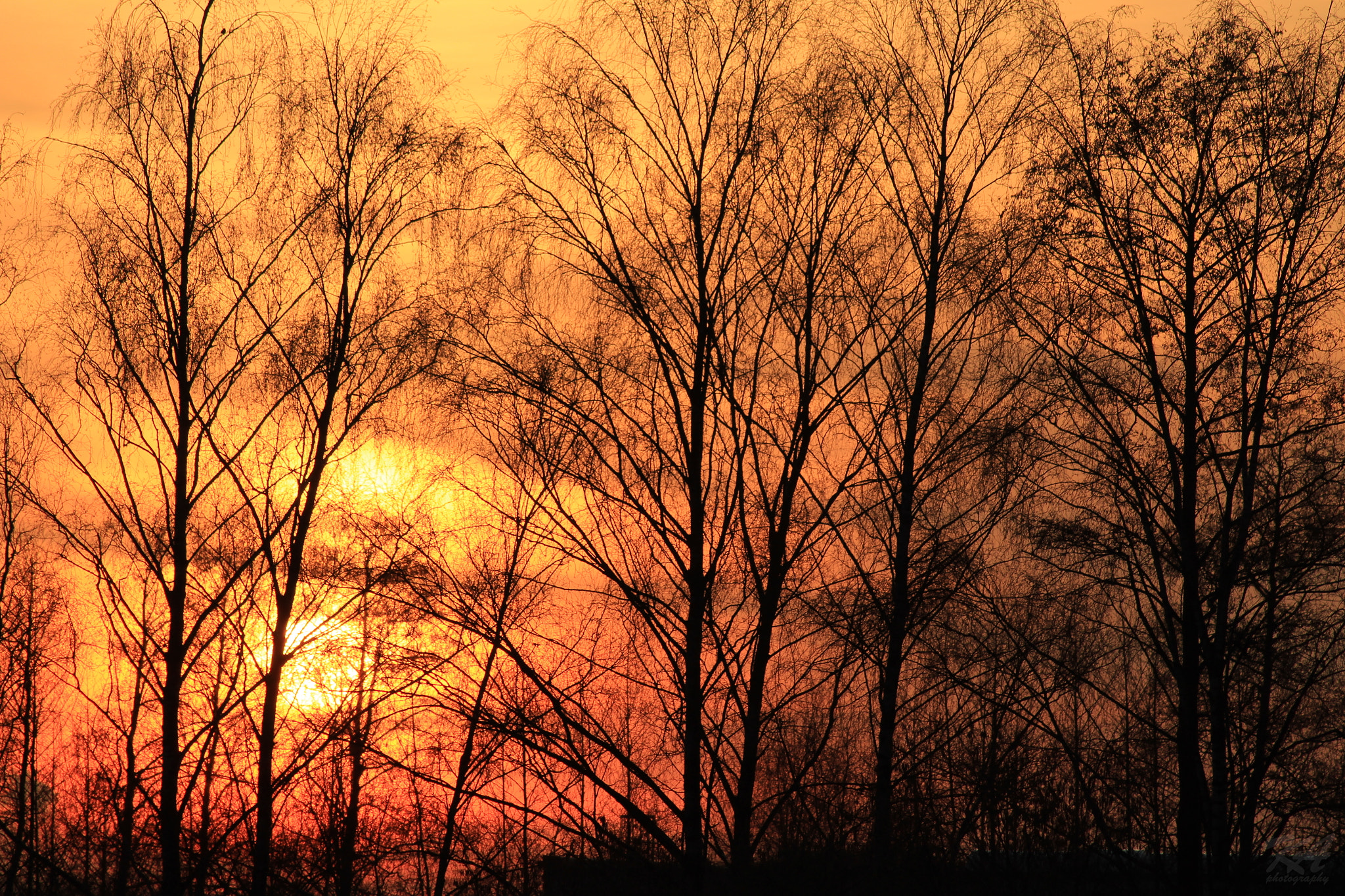 Canon EOS 1300D (EOS Rebel T6 / EOS Kiss X80) sample photo. Sunset photography