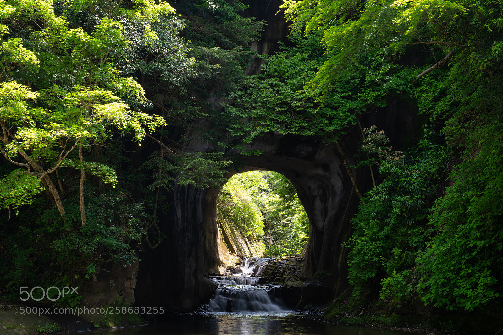 Nikon D850 sample photo. ジブリっぽい photography