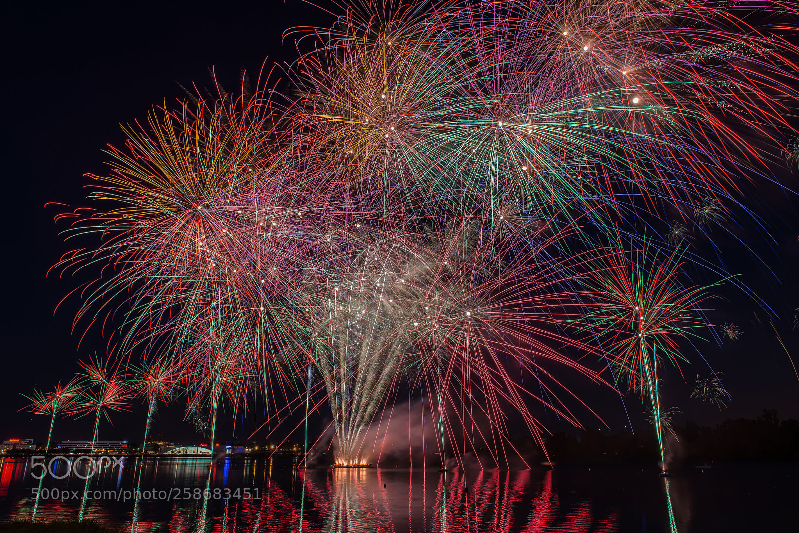 Nikon D800 sample photo. Bordeaux foire expo 2018 photography