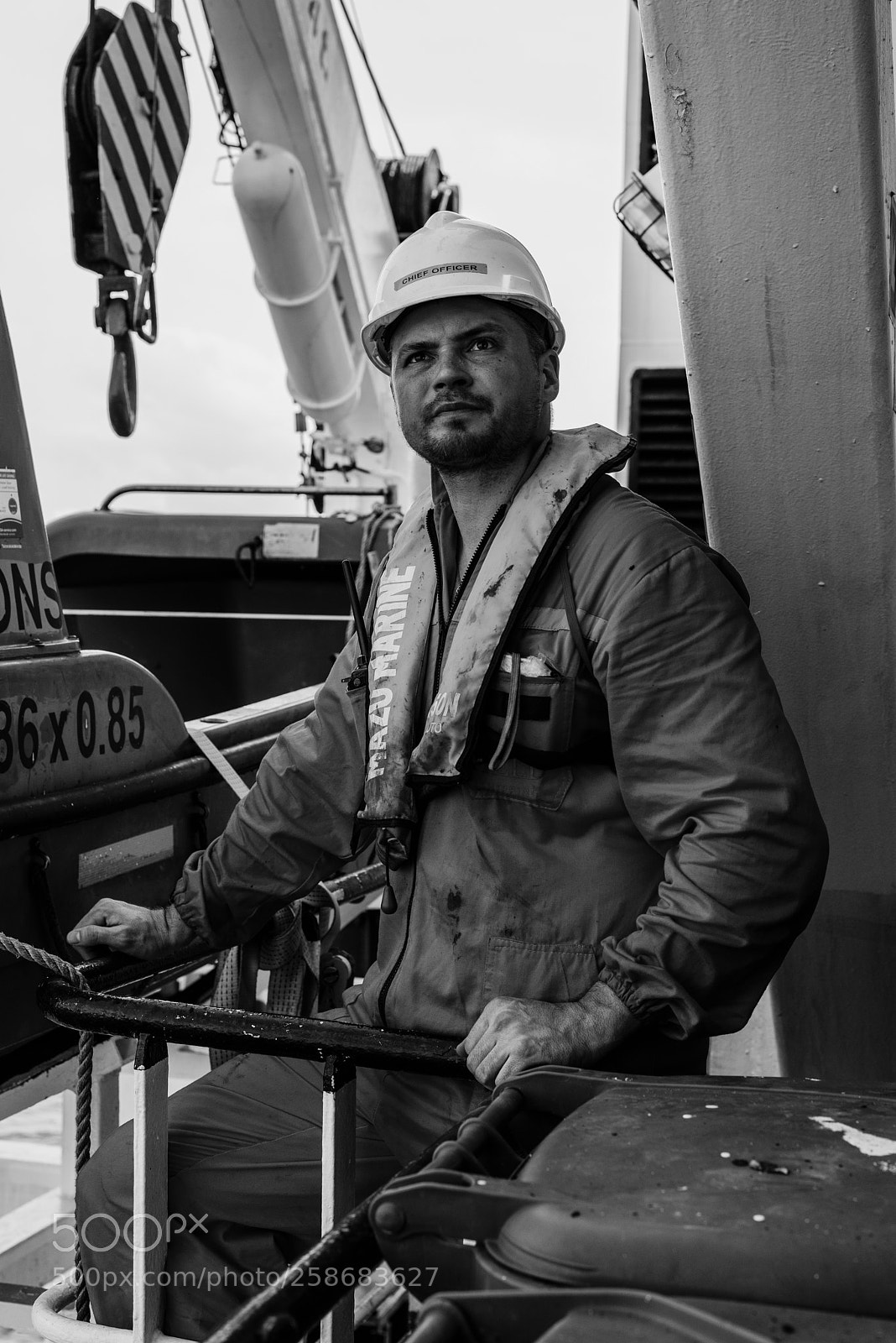 Nikon D810 sample photo. Life at sea photography