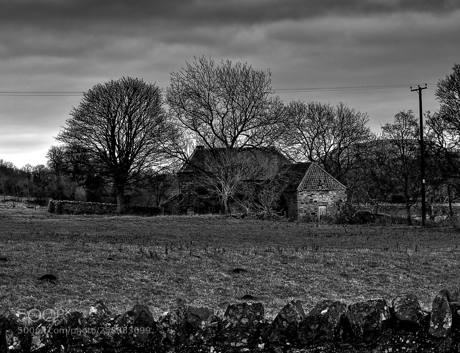 Nikon D3100 sample photo. Countryside photography