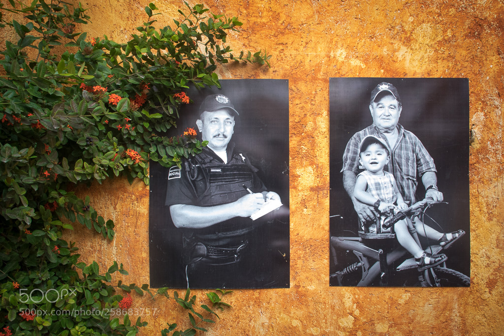 Nikon D5300 sample photo. Photo exhibition in campeche photography