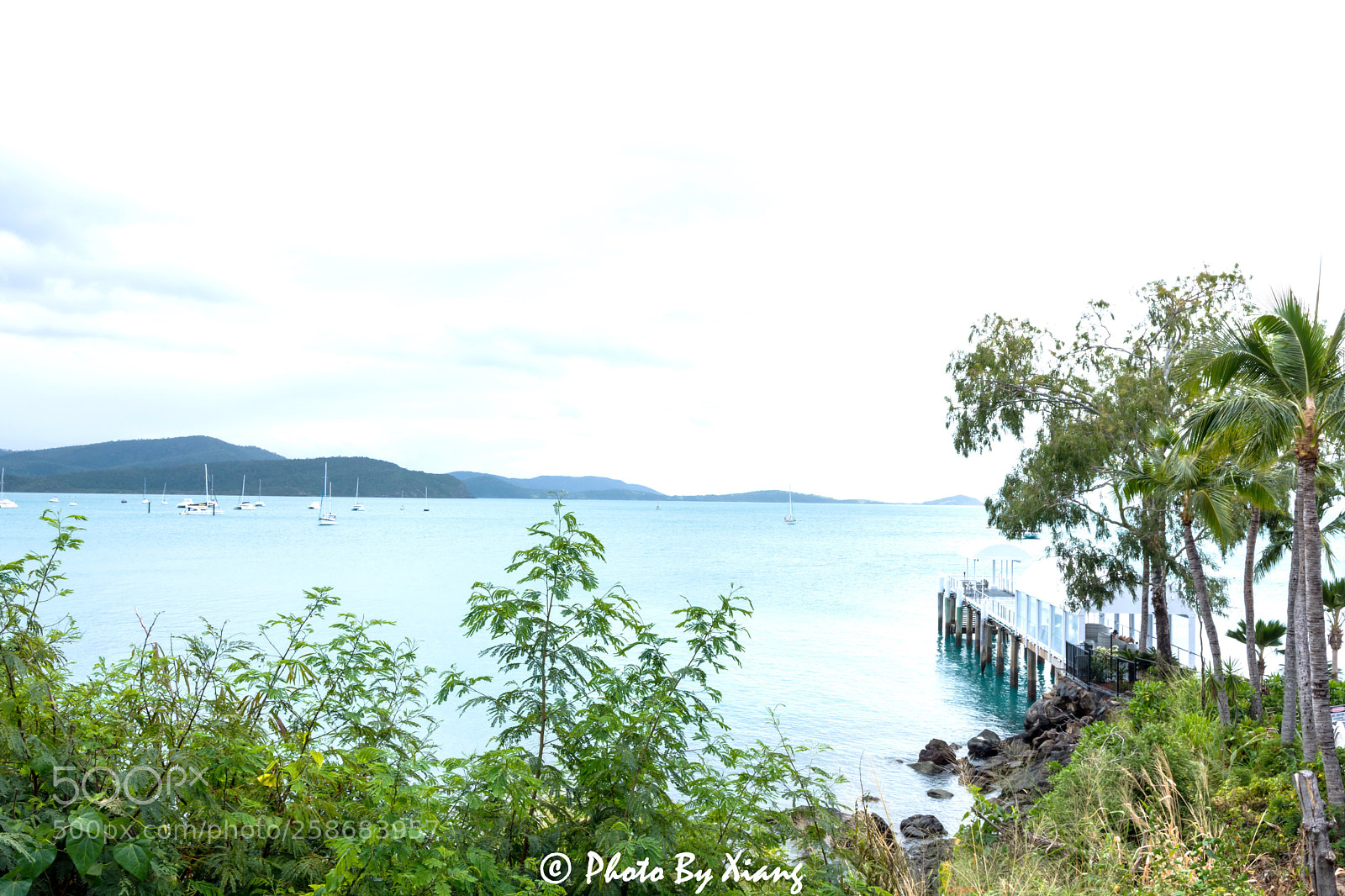 Nikon D7200 sample photo. Untitled photography