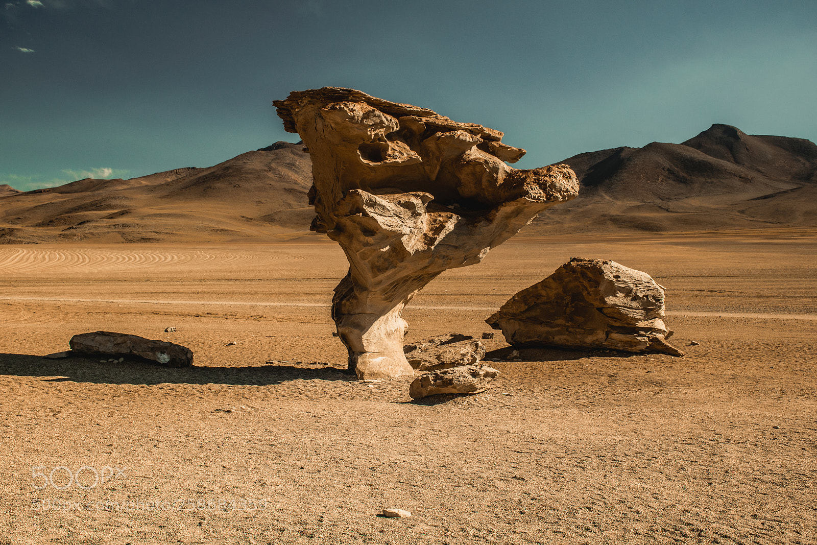 Nikon D5300 sample photo. Rbol de piedra stone photography