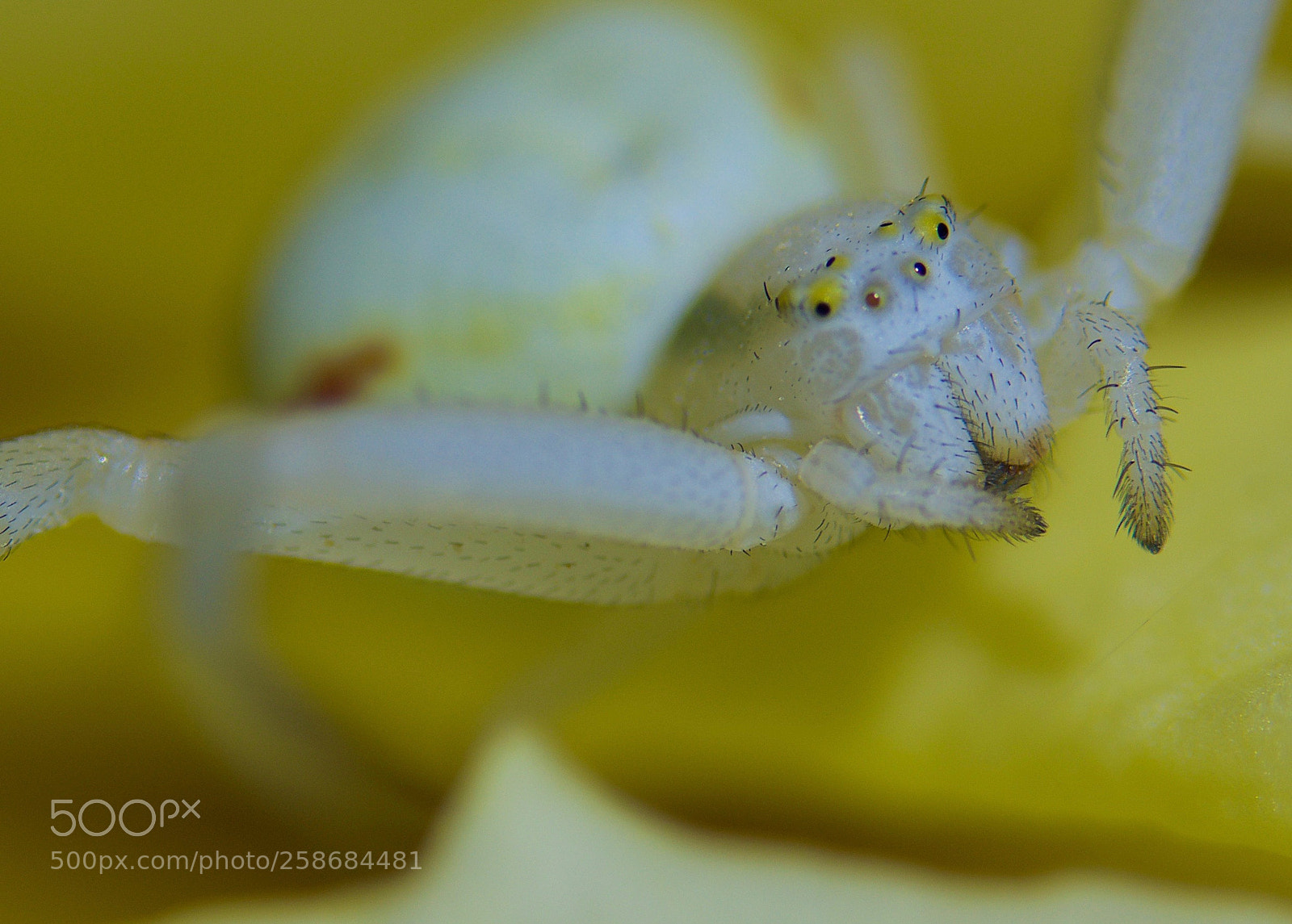 Nikon D7000 sample photo. The eyes of a photography