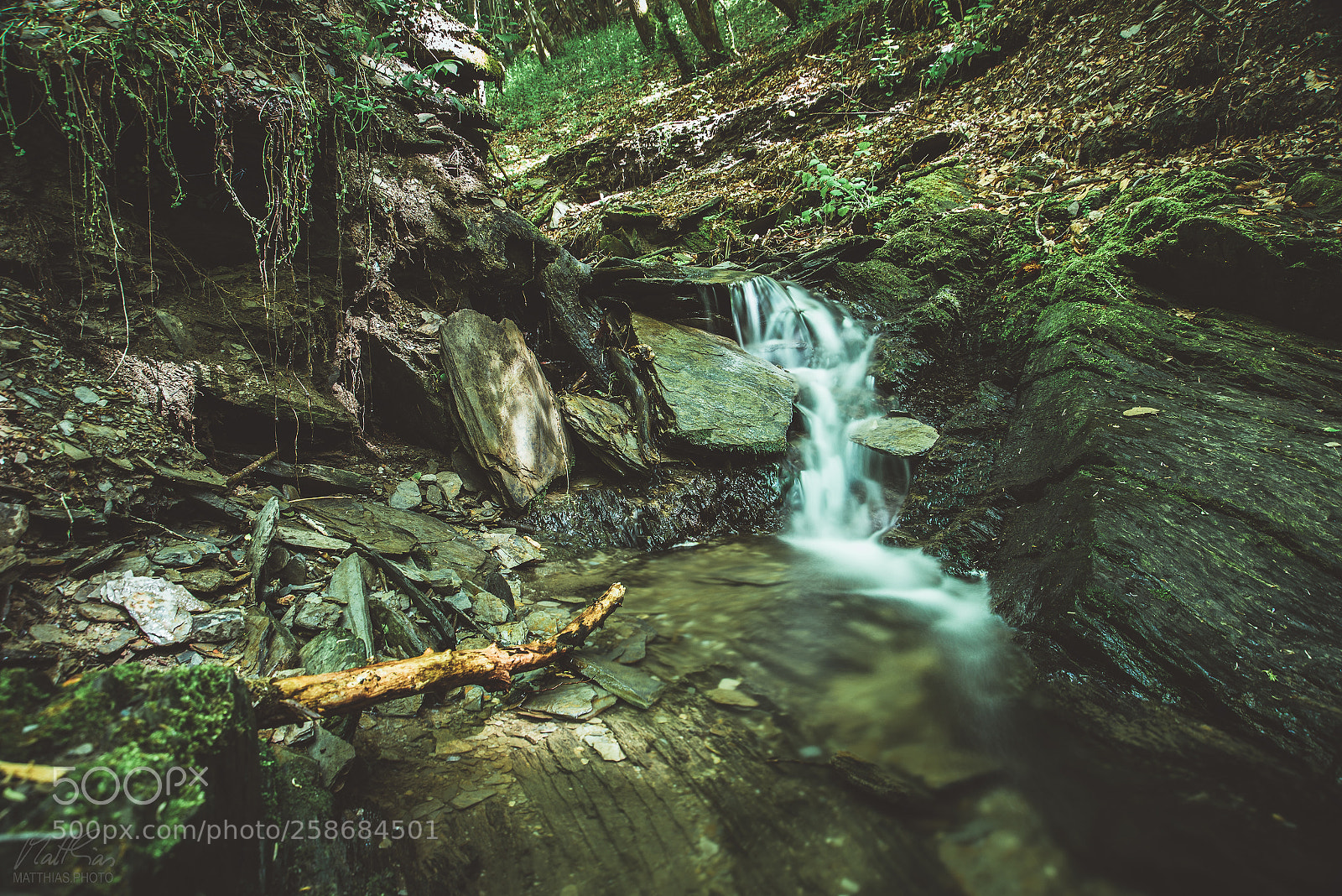 Nikon D750 sample photo. Waldbach an der geierlayschleife photography