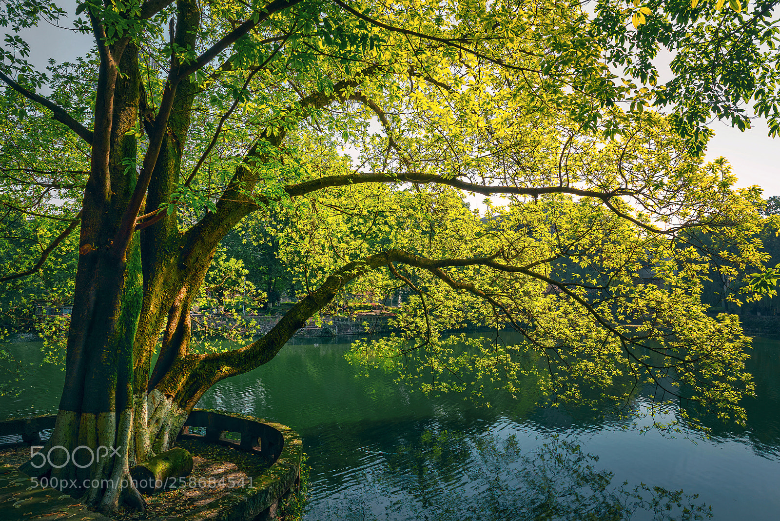 Nikon D750 sample photo. Summer time in chongqing photography