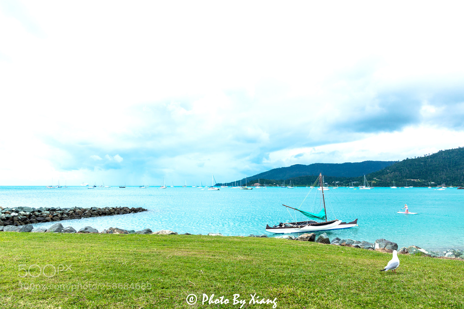 Nikon D7200 sample photo. Untitled photography