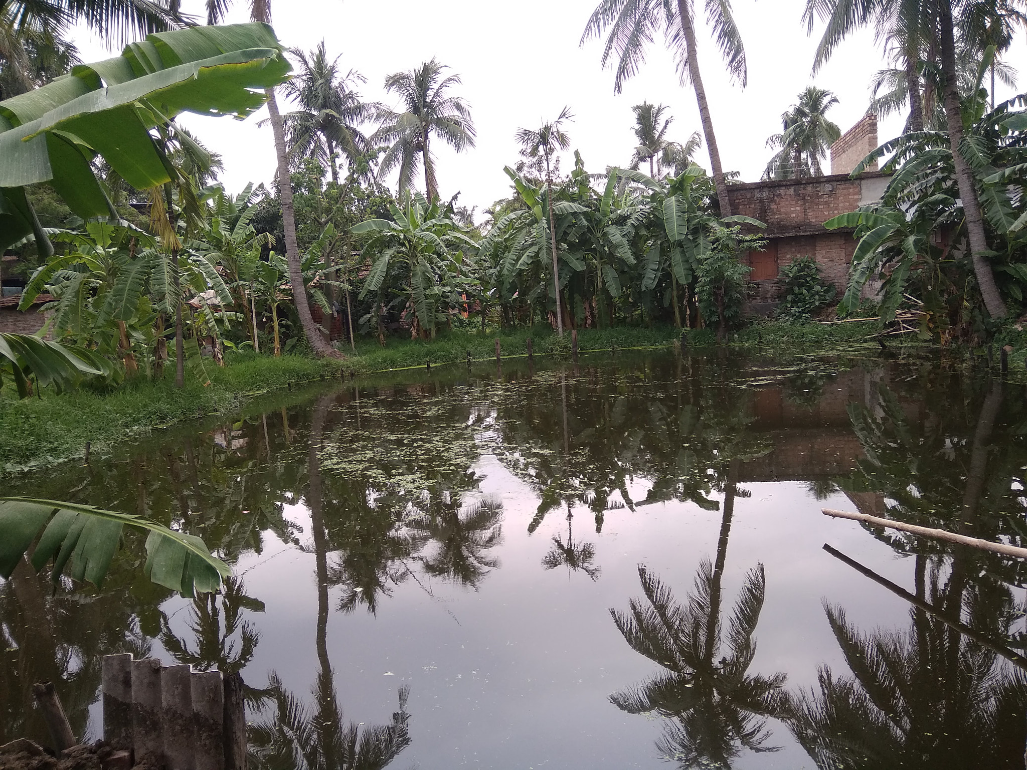 Xiaomi Redmi 5A sample photo