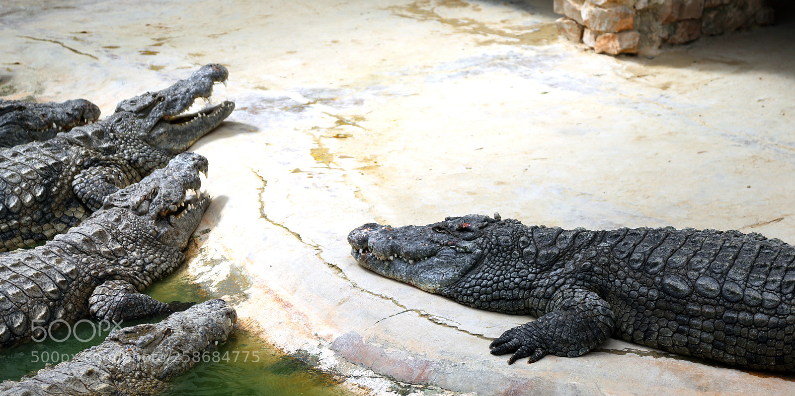 Canon EOS 6D sample photo. Good job gentlemen photography