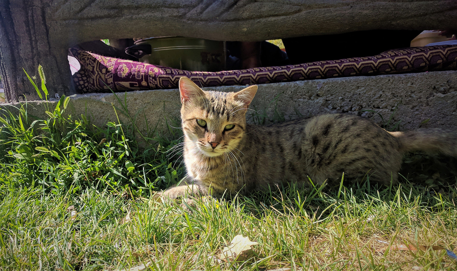 LG Nexus 5X sample photo. Selfish.jpg photography