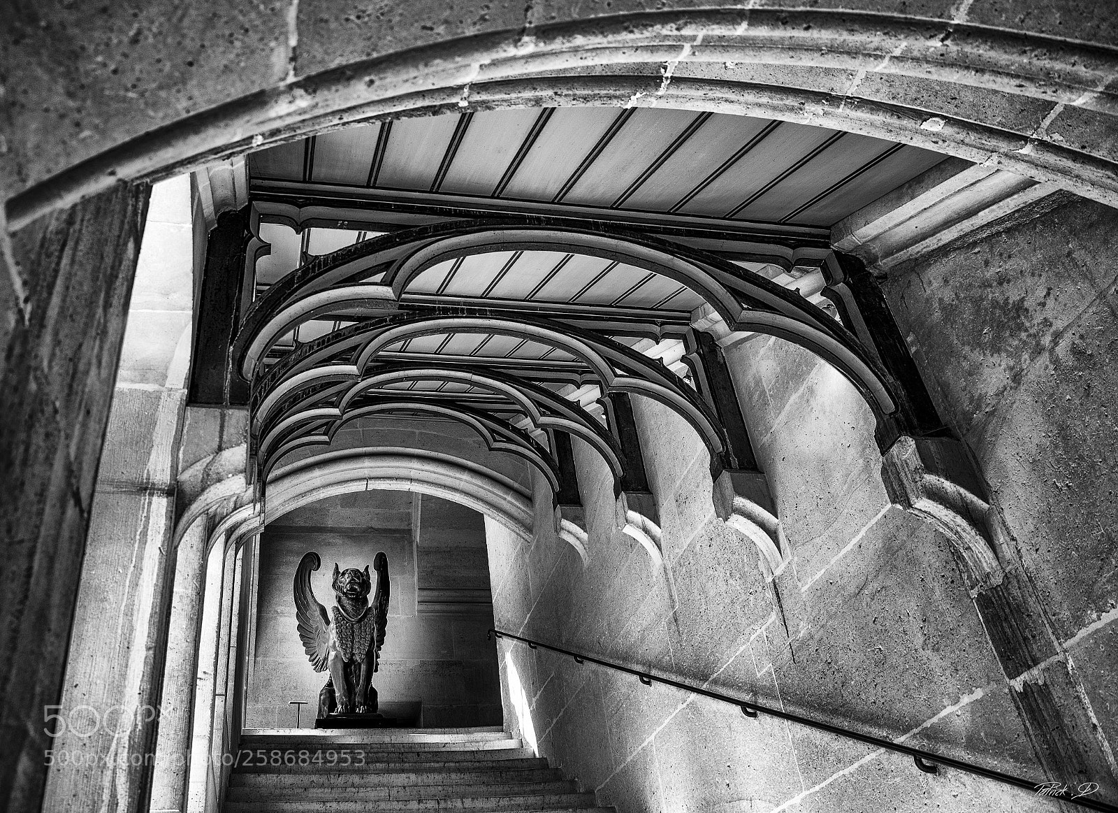 Nikon D750 sample photo. Architecture int rieure du photography